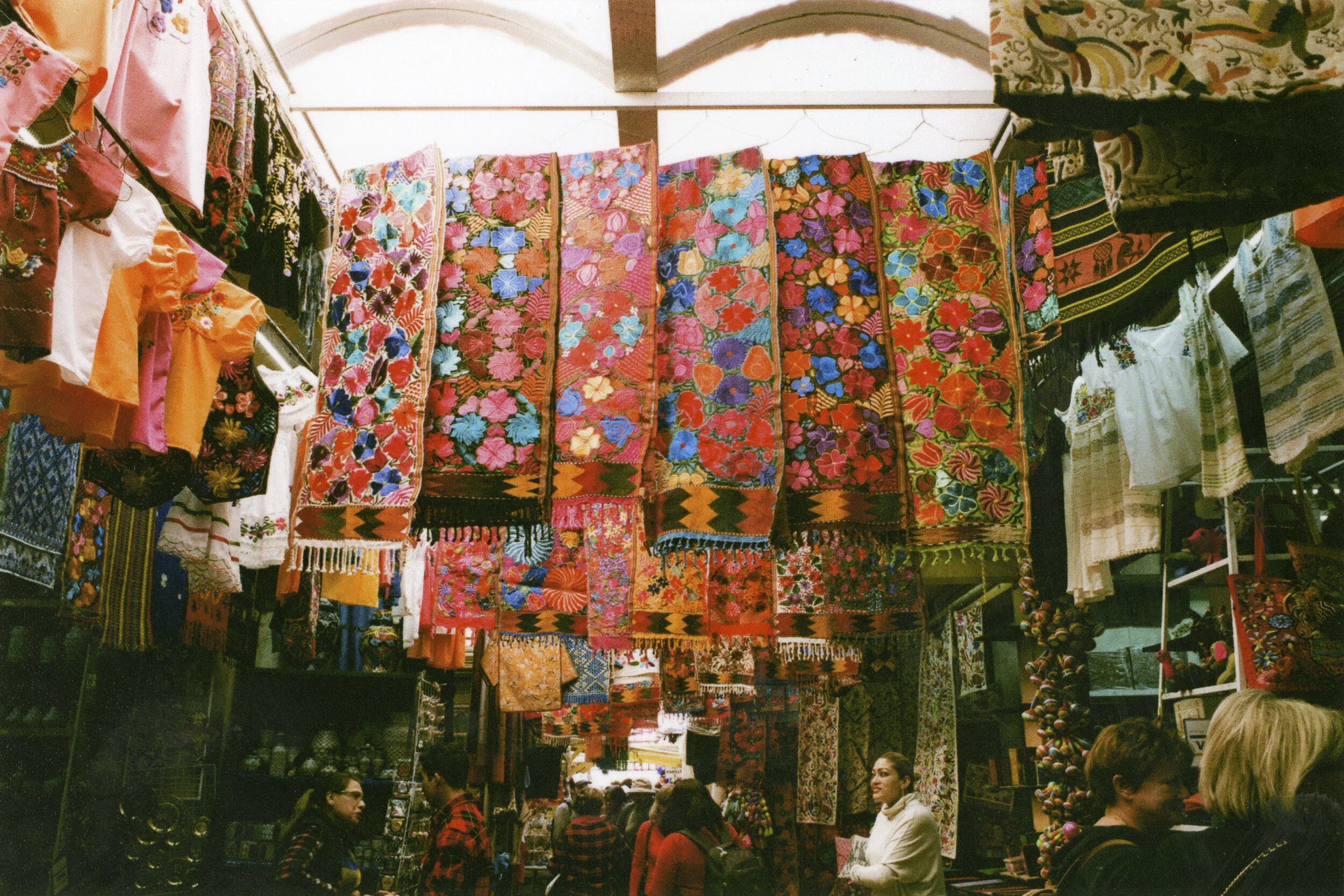 haluka-yagi--vancouver-bc--film-photography-26.jpg