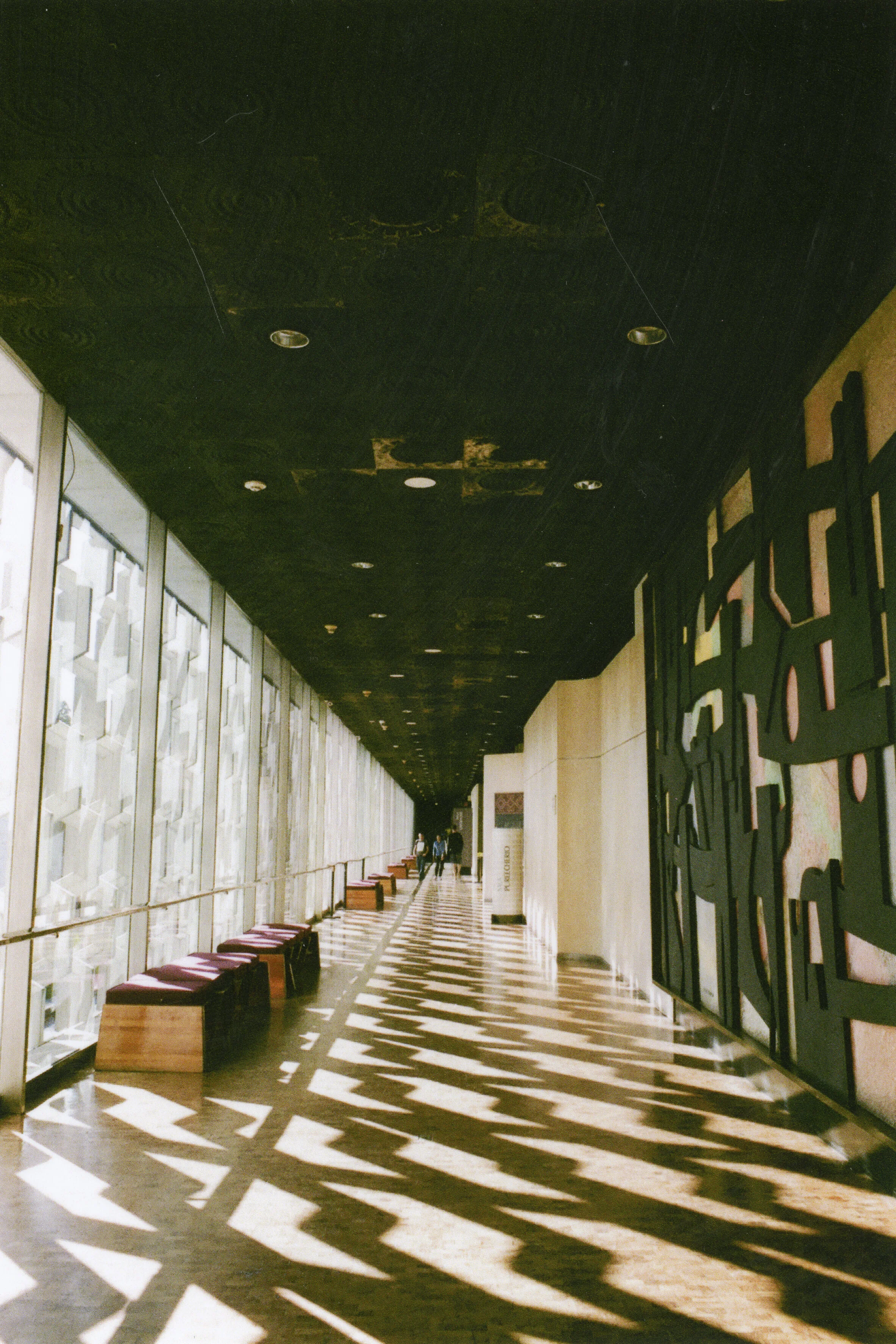 haluka-yagi--vancouver-bc--film-photography-25.jpg
