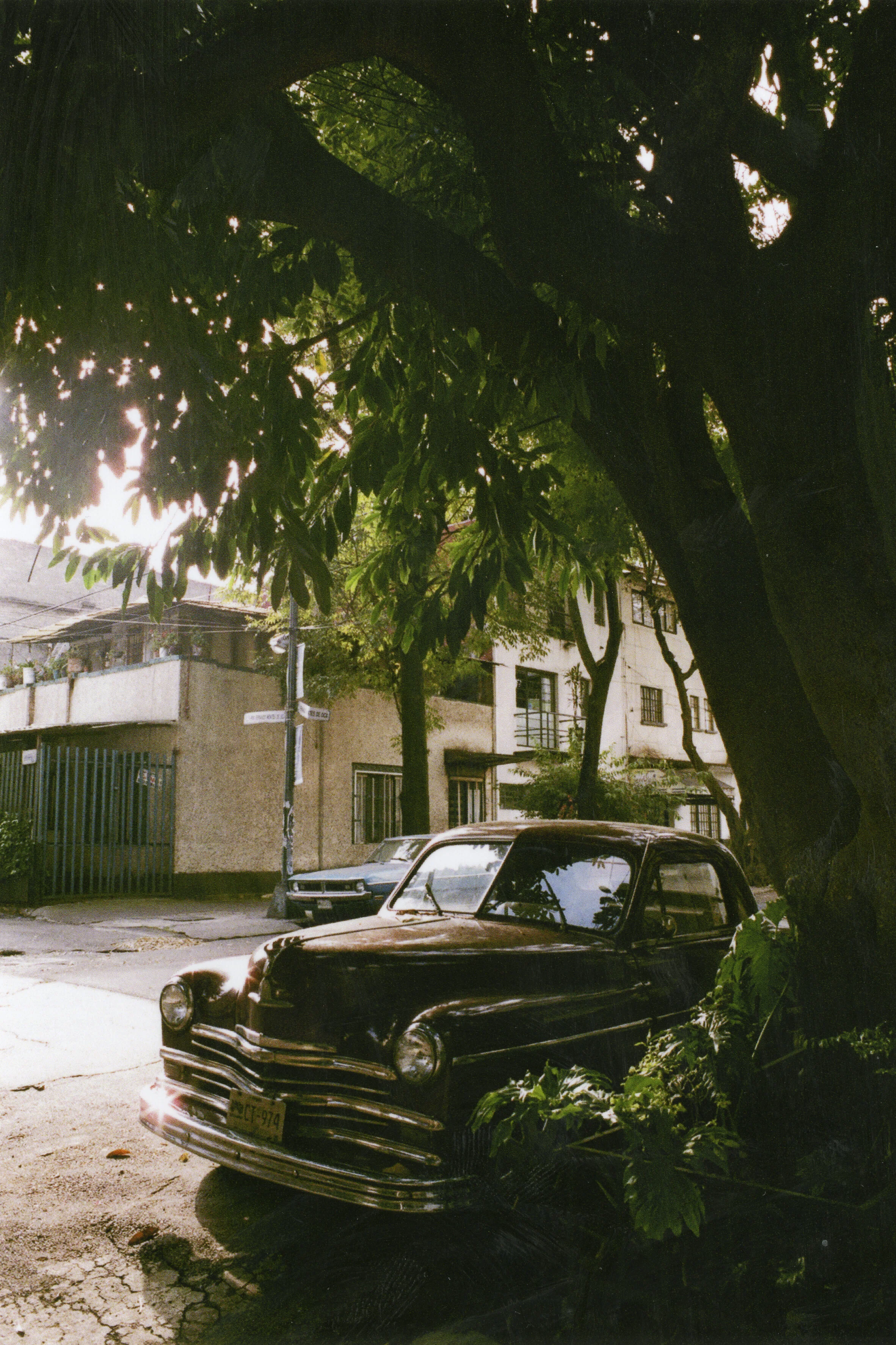 haluka-yagi--vancouver-bc--film-photography-24.jpg