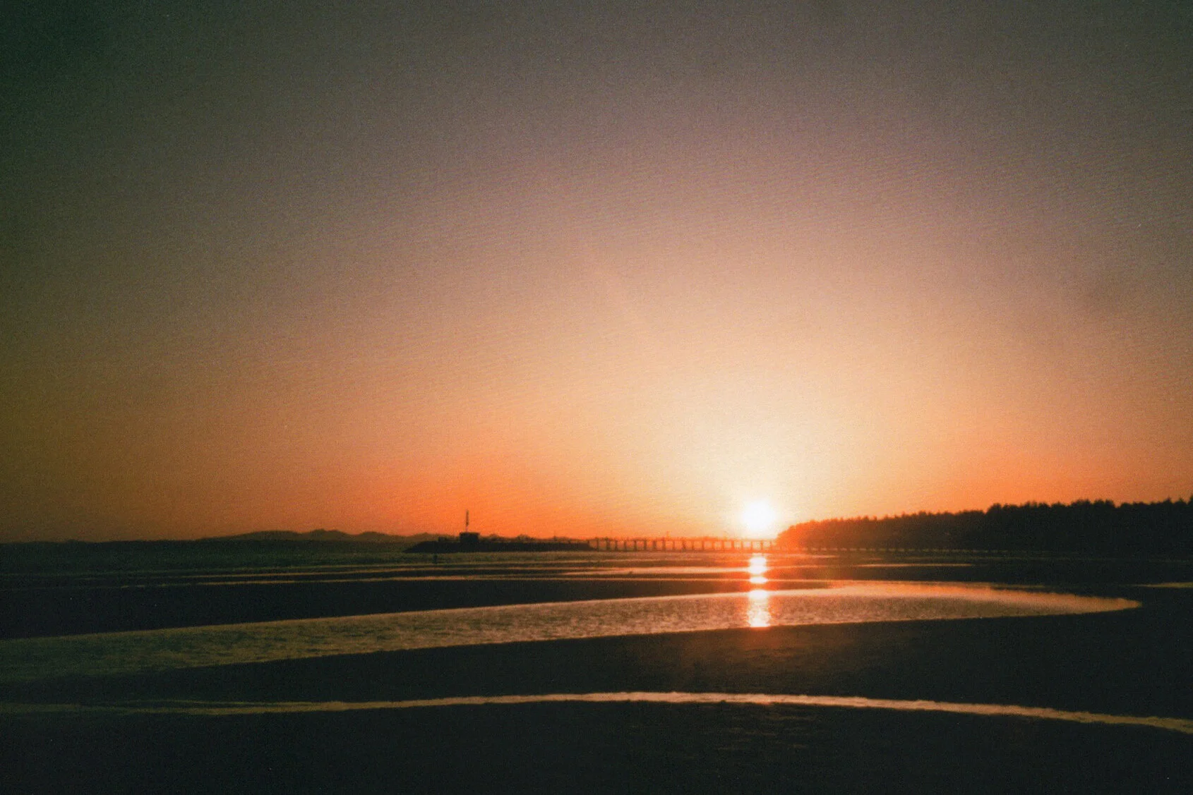 haluka-yagi--vancouver-bc--film-photography-20.jpeg