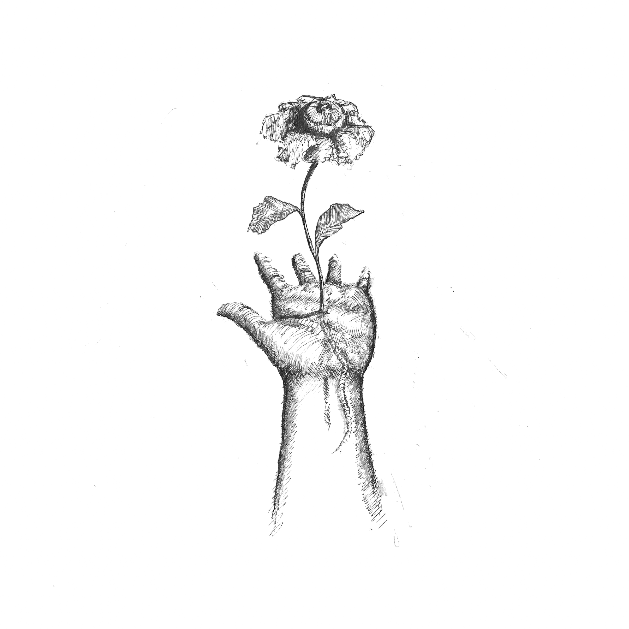 4989_001.png