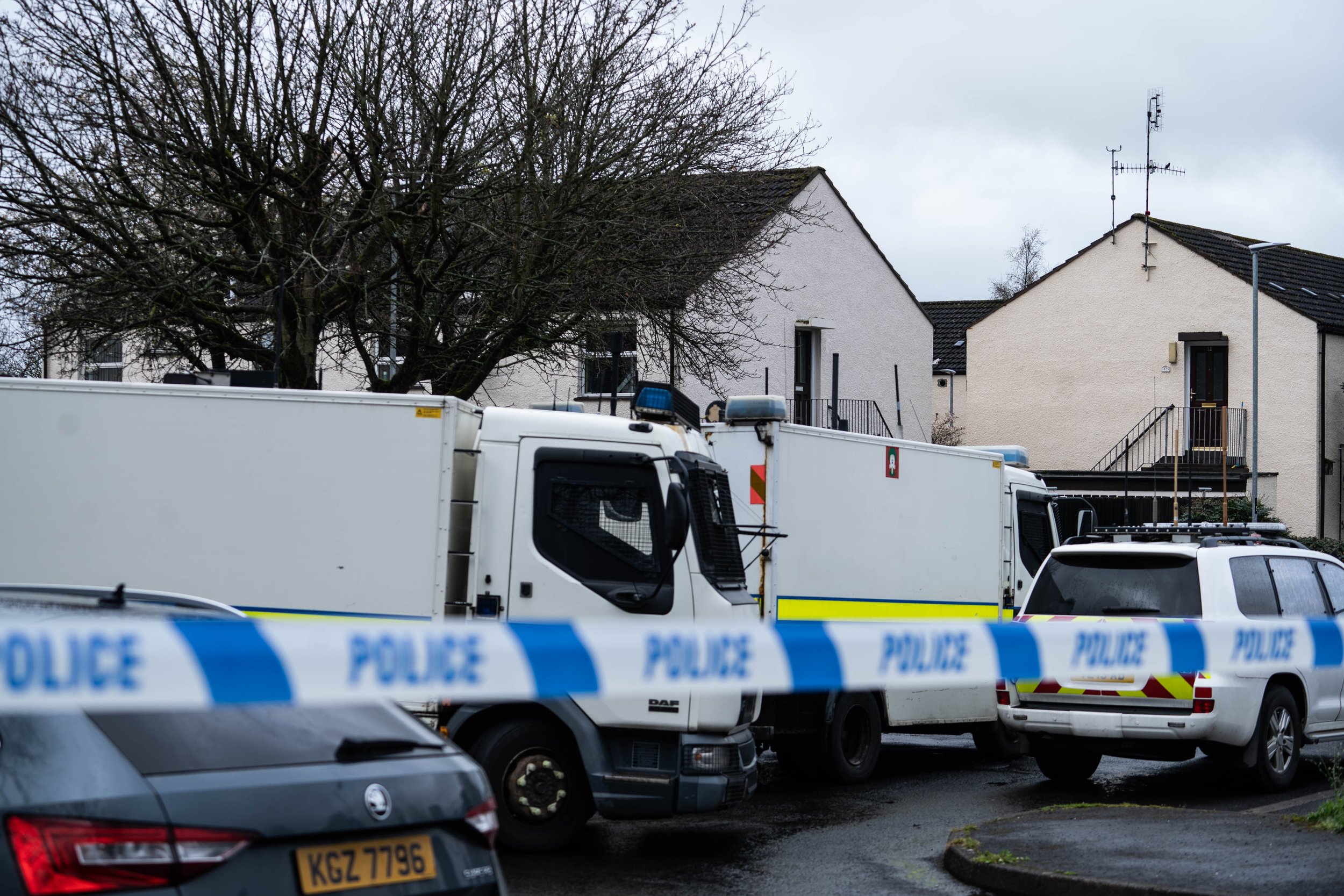 PICTURE (3 of 5) (1).jpg