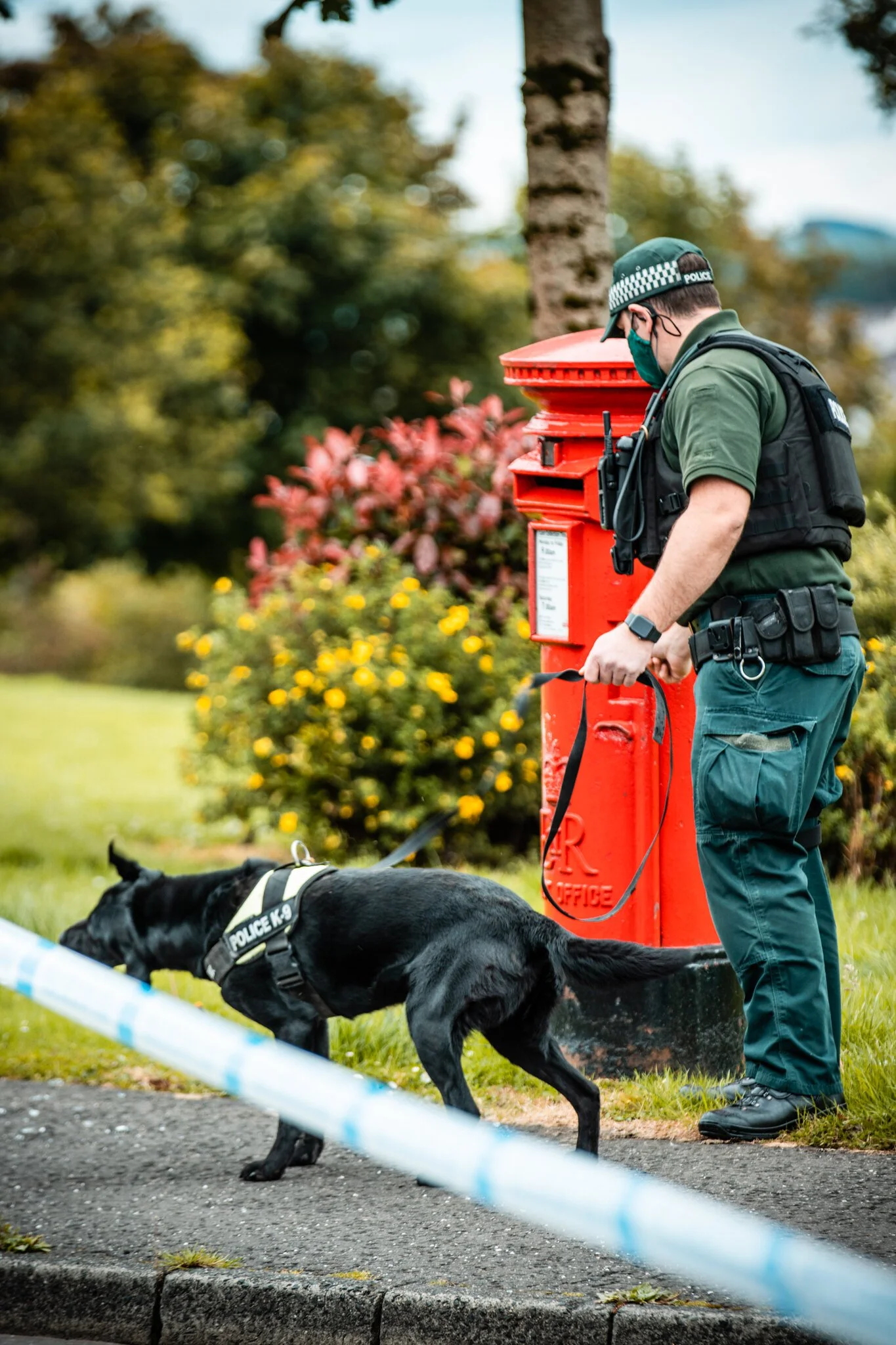 Police officer with a K-9 unit inspecting an area near a red mailbox