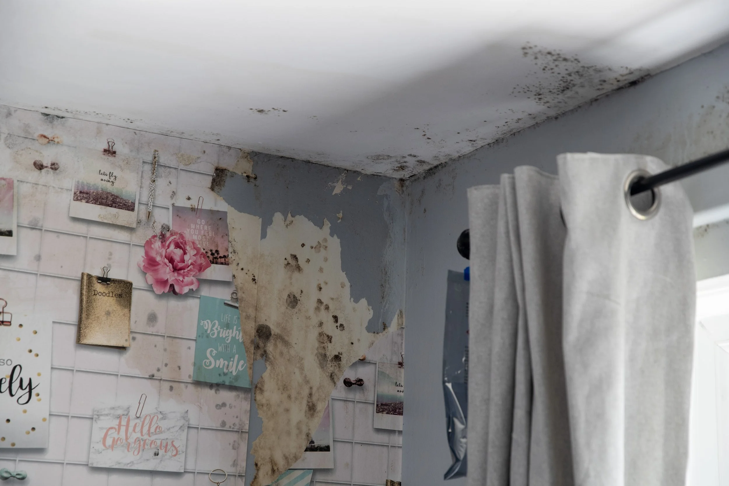 Ceiling and wall with peeling paint, mold, and water damage near a window with white curtains, and a wall with decorative photos and notes.