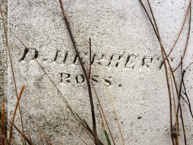 A CONVERSATION WITH DANIEL HERBERT