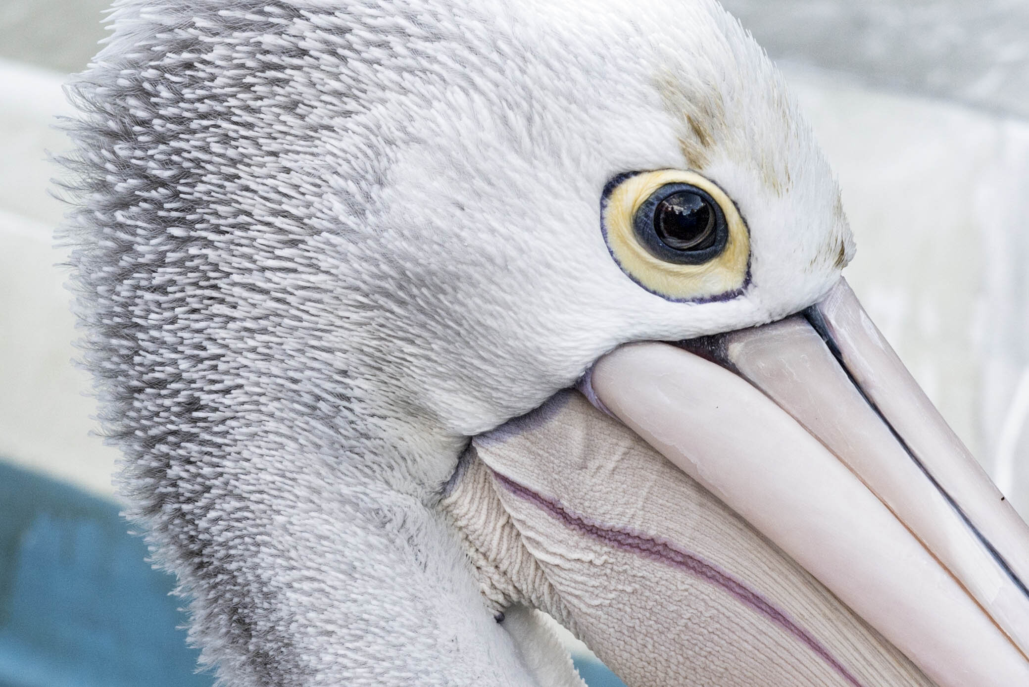 _DSC9884.jpg