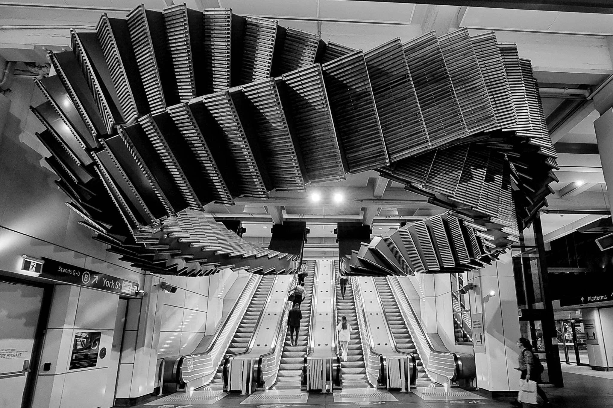 20210226_133337-2.jpg