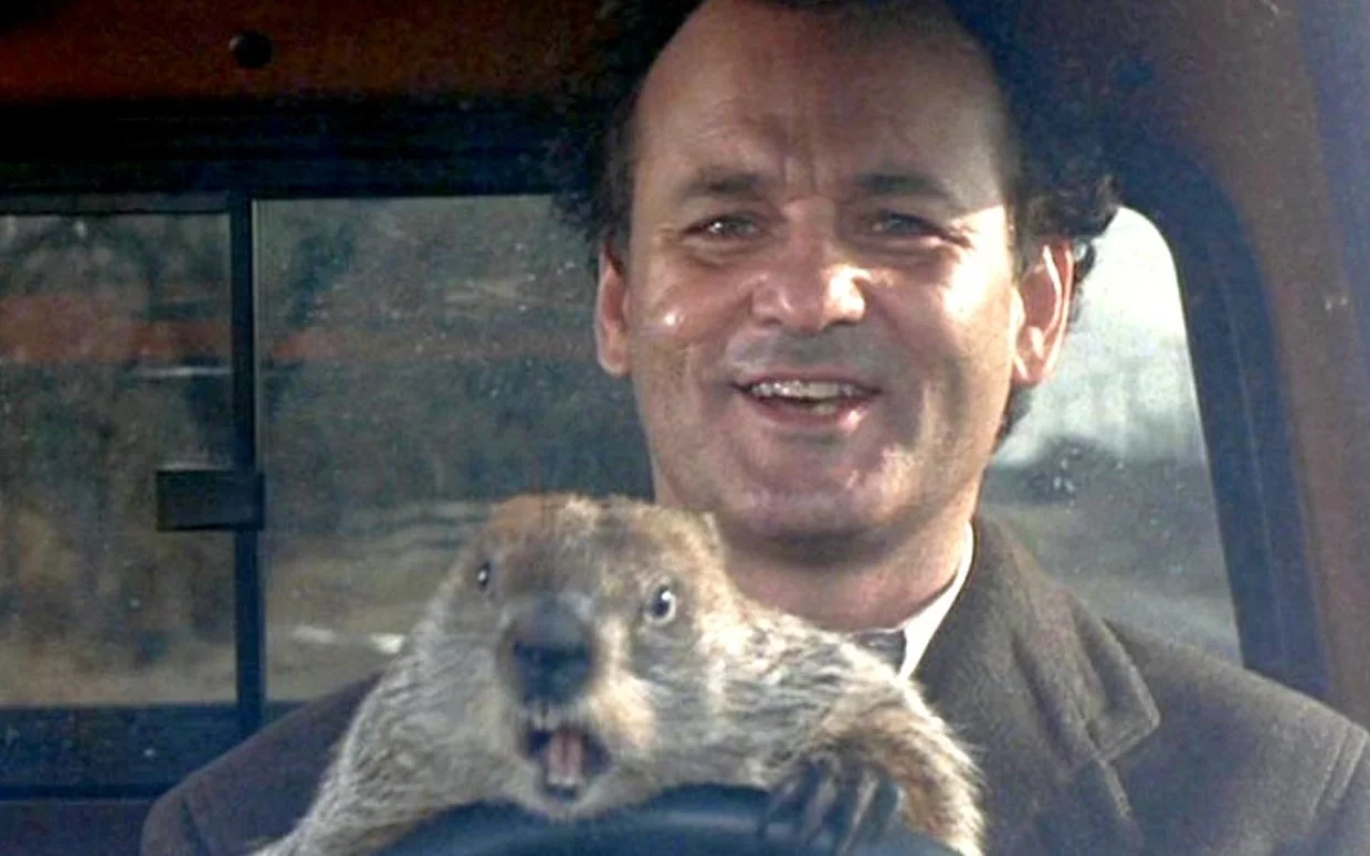 Groundhog.