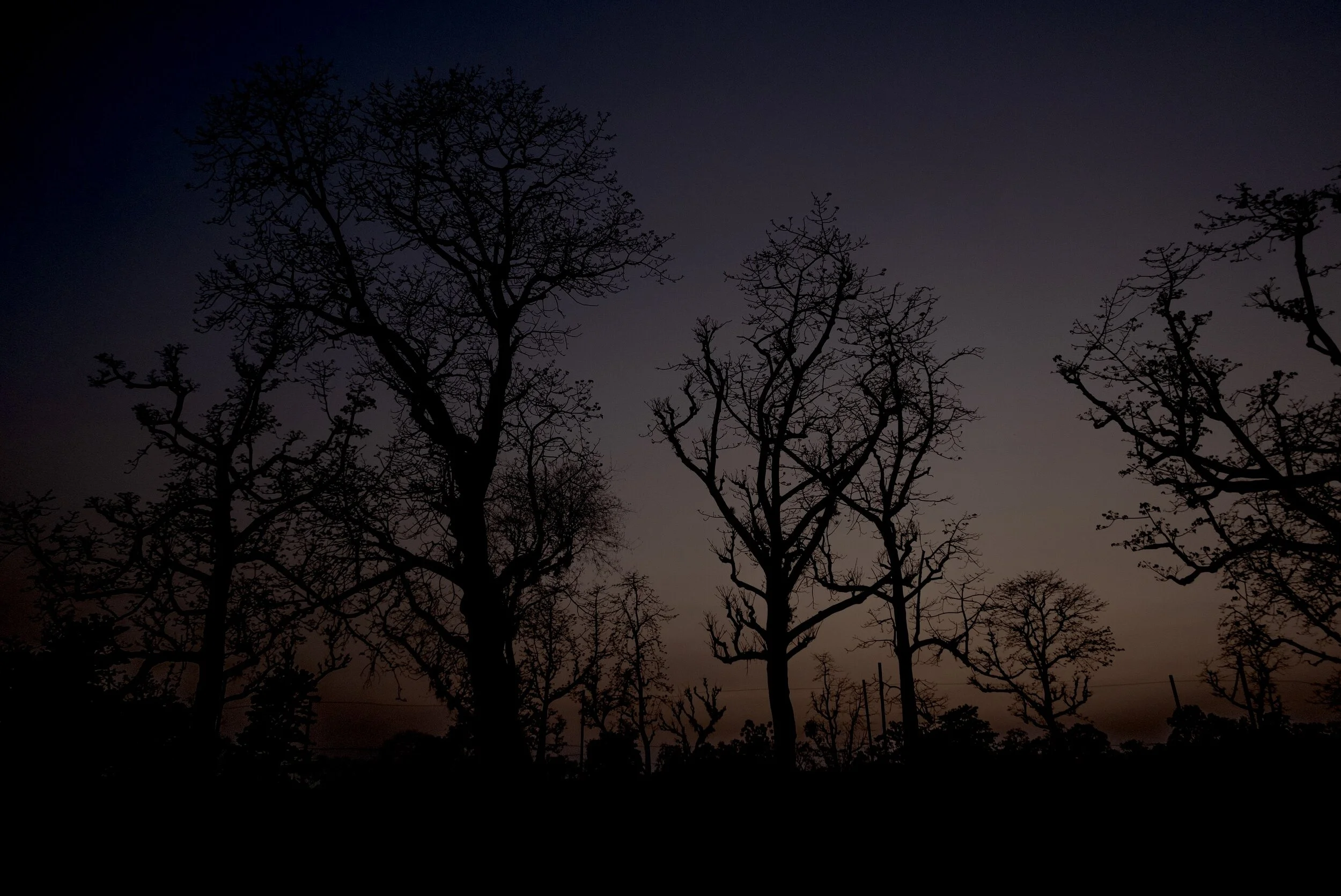 Undisturbed.