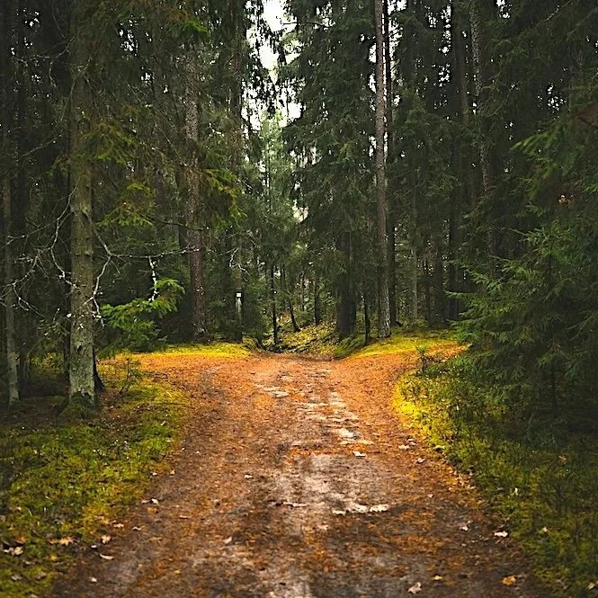 Conversation: Finding a Third Way