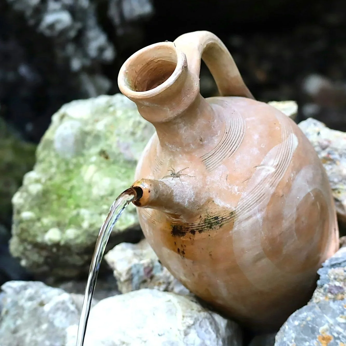 The Emotional Jug