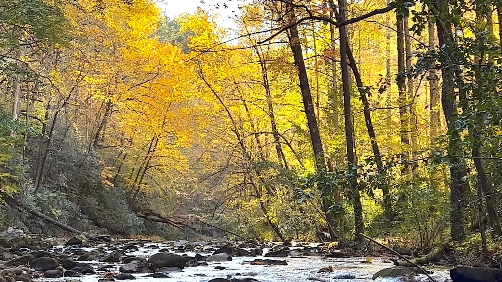 Fall River cover.jpg
