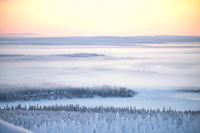 Snow-covered landscape with trees and fog under a pastel sky