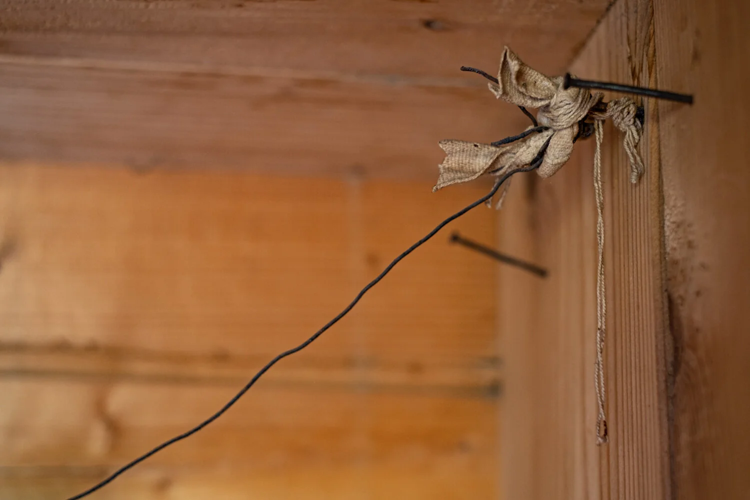 DSCF8921.jpg