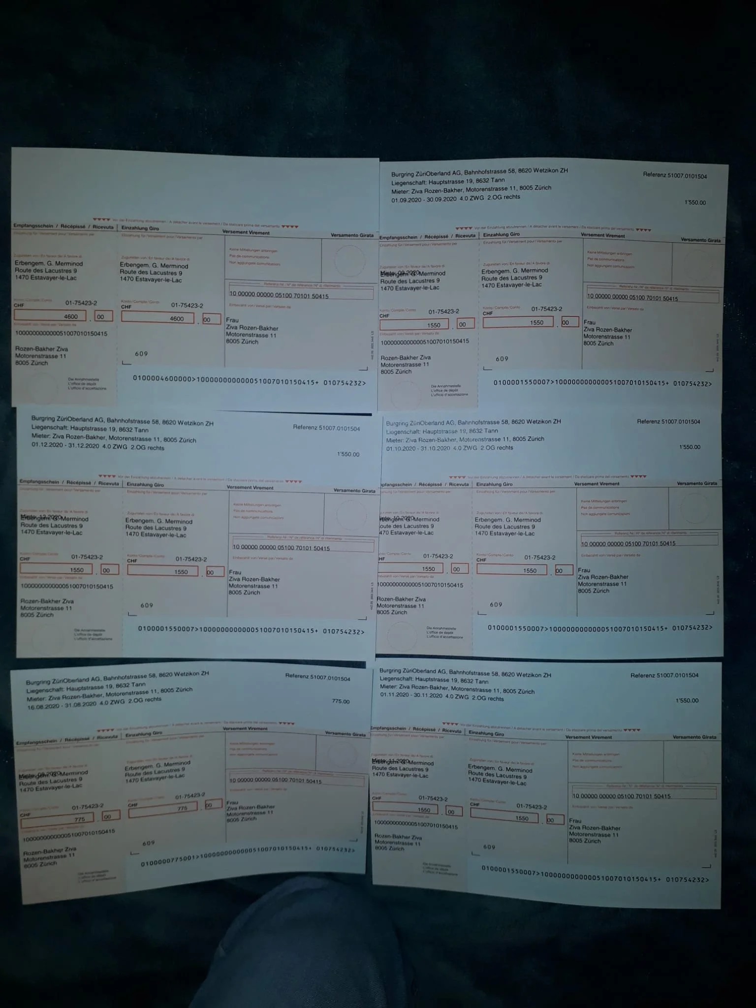 Swiss Resident Permit Operation8.jpeg