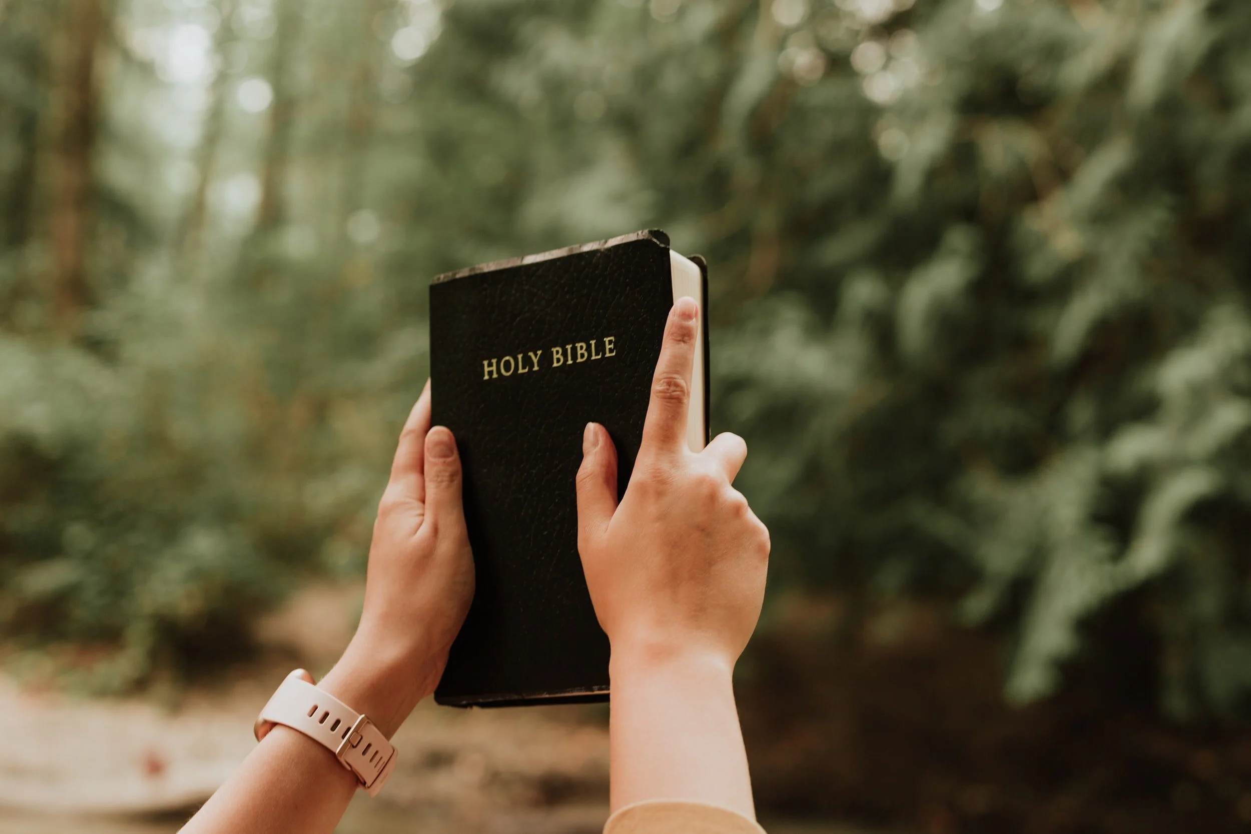 unsplash-image-m4L8nZMuVVs.jpg
