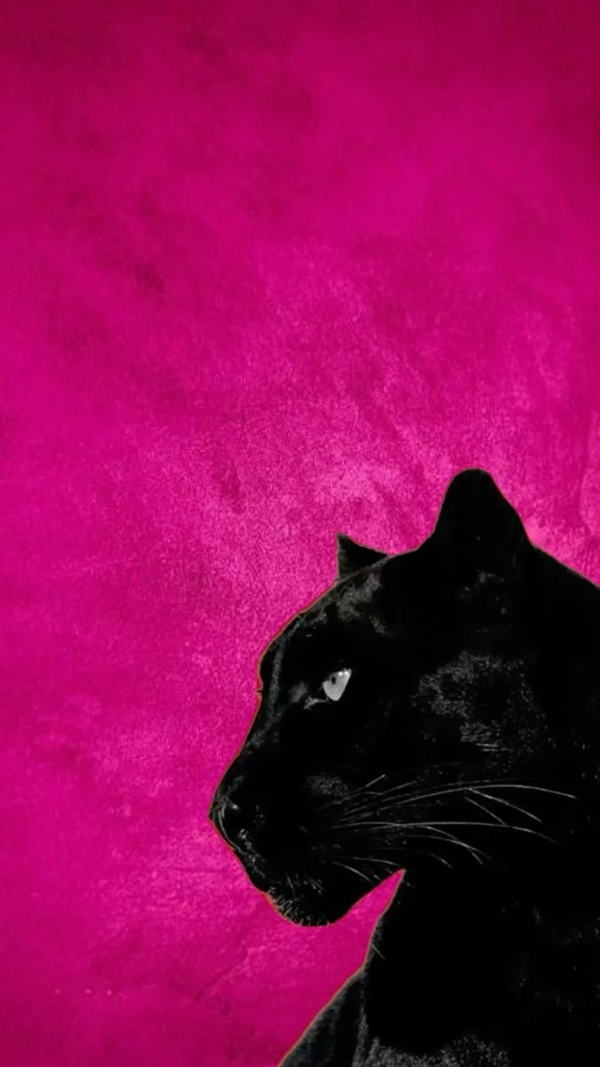 pink panther2