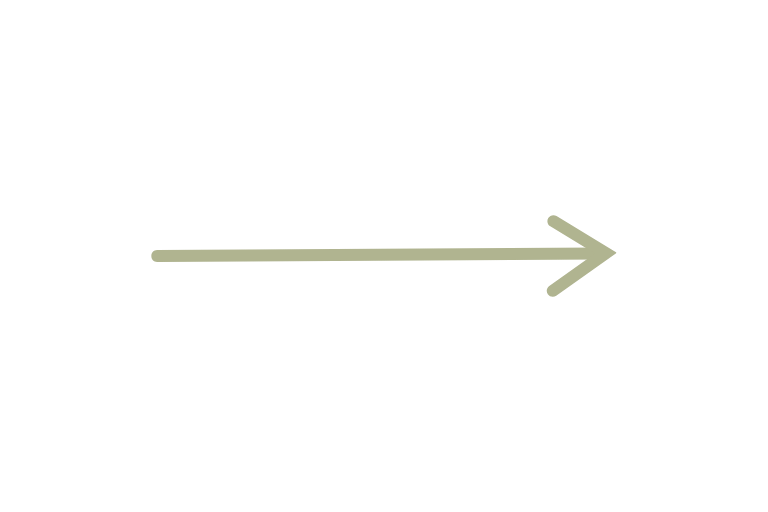 A black line with a green arrow pointing to the right and the word 'ENTRANCE' above it.