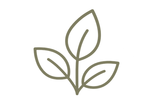 Simple line drawing of a plant with four leaves.