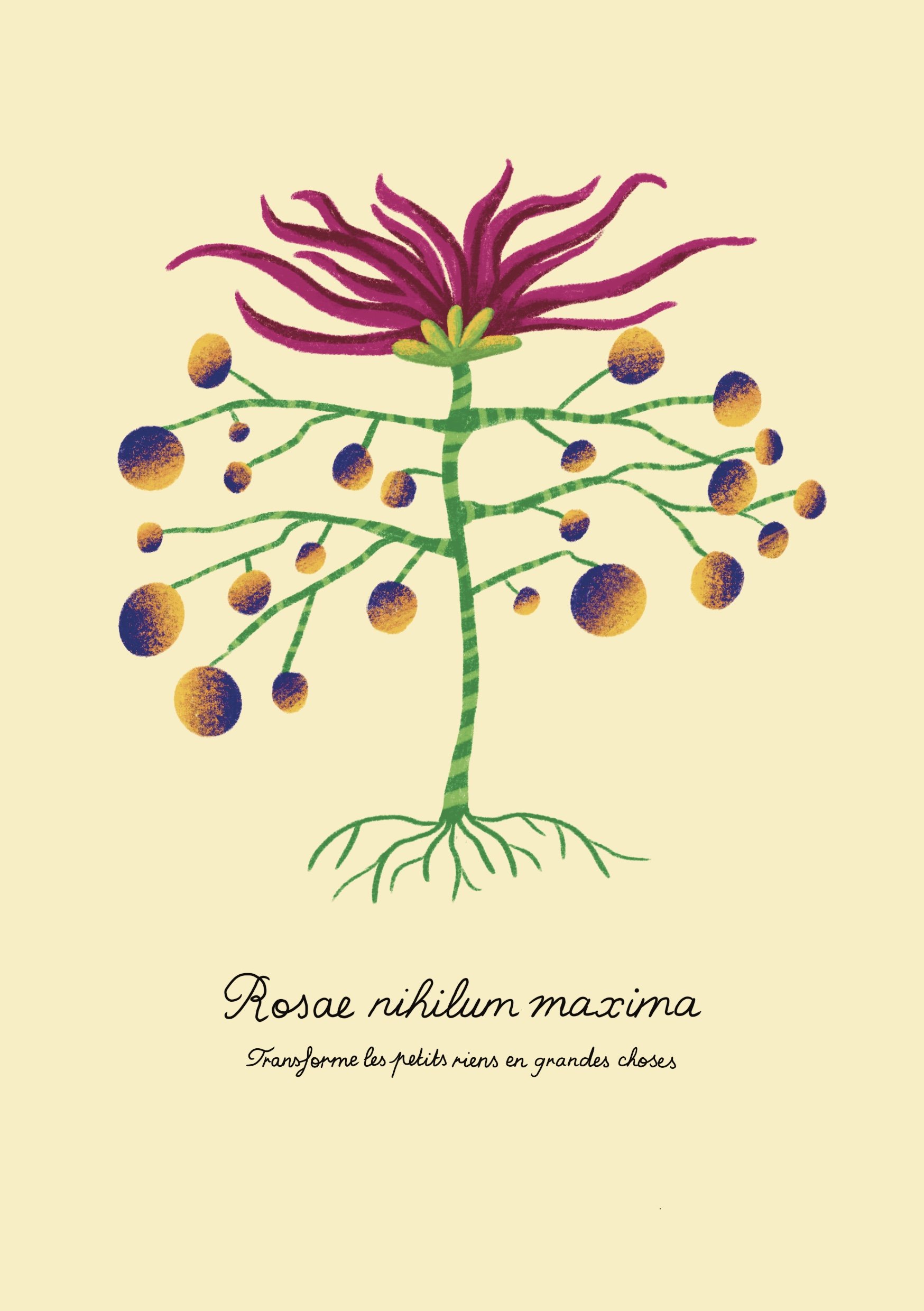 Rosae_nihilum_maxima.jpg
