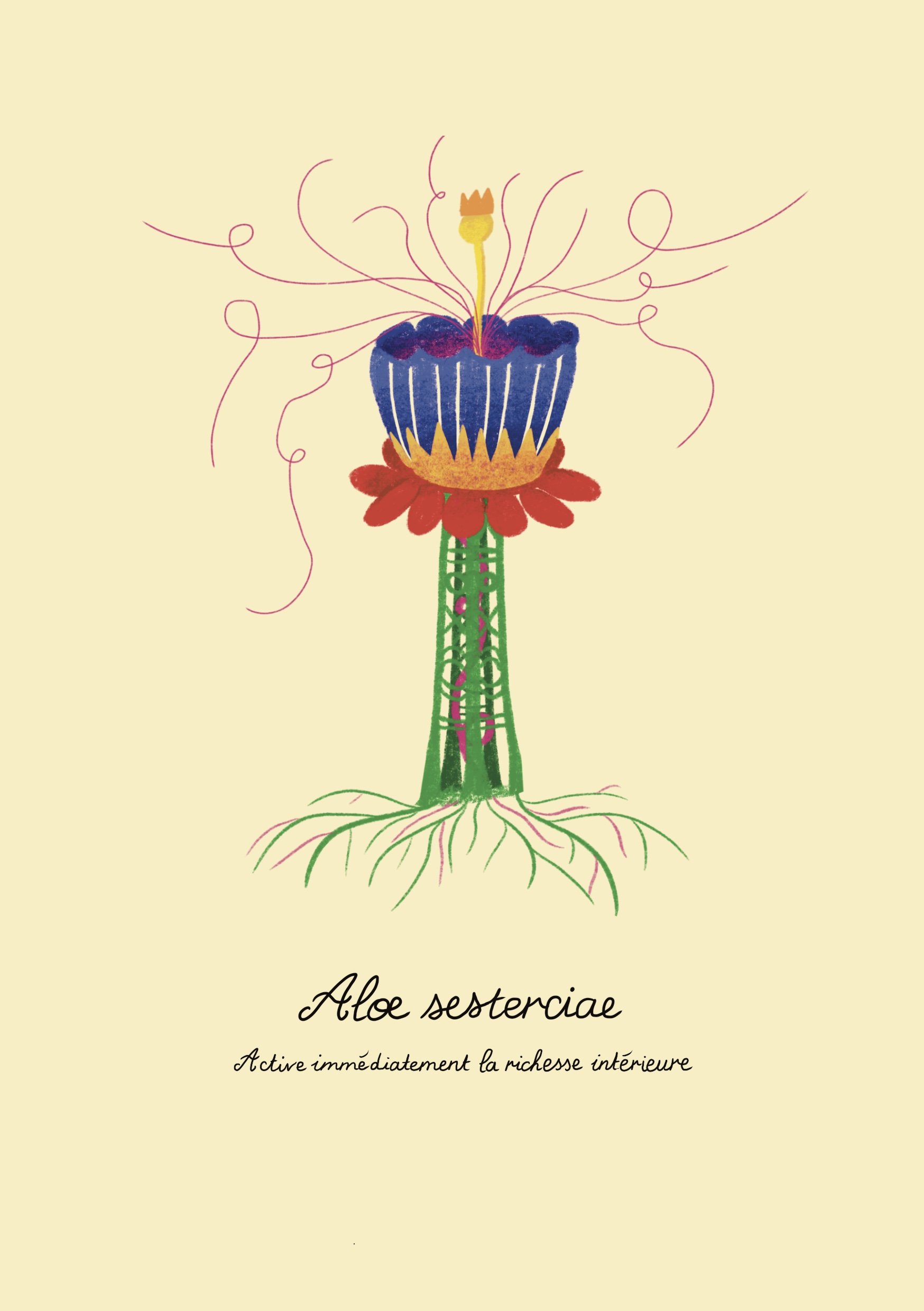 Aloe_sesterciae.jpg