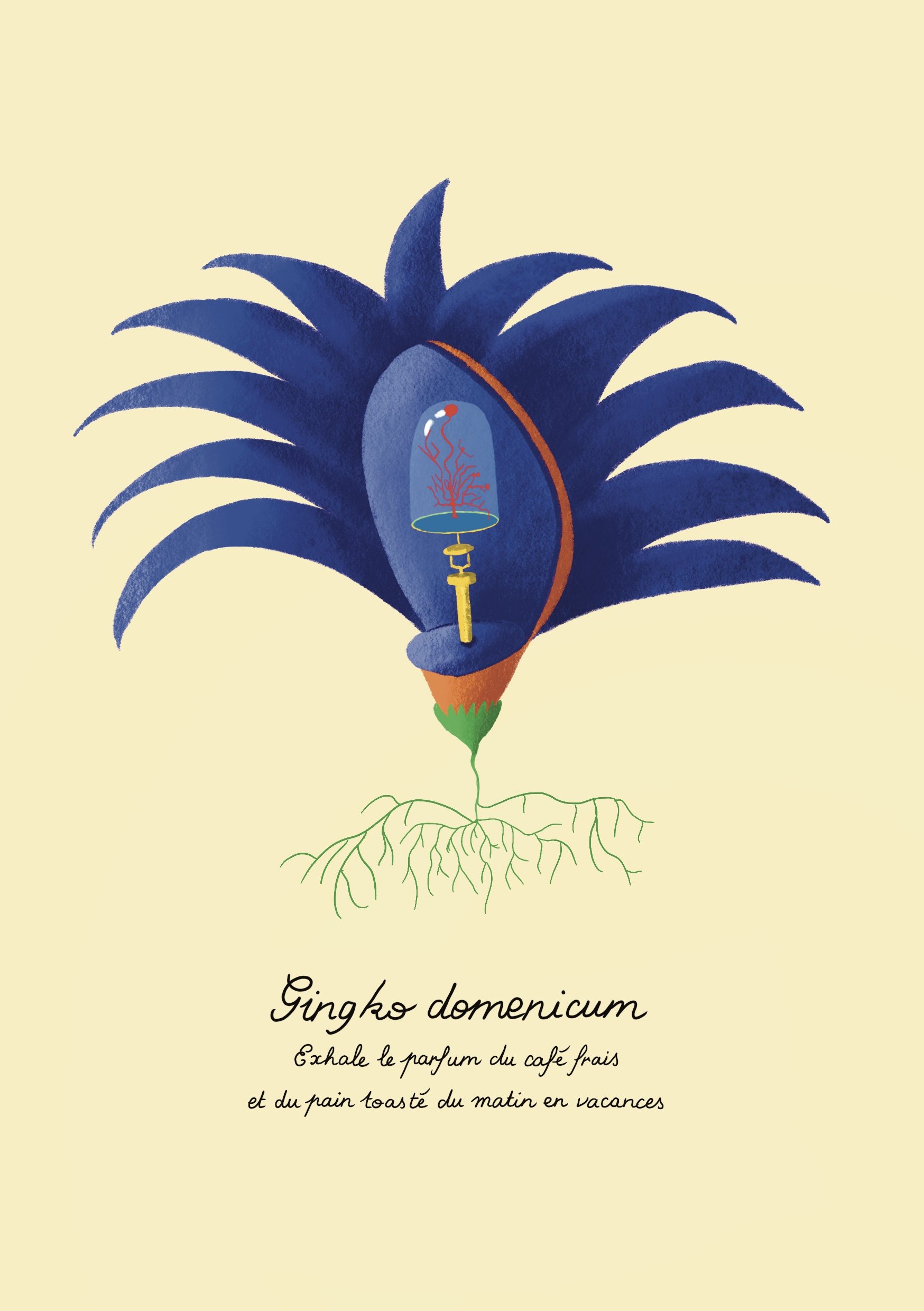 Gingko_Domenicum_.jpg