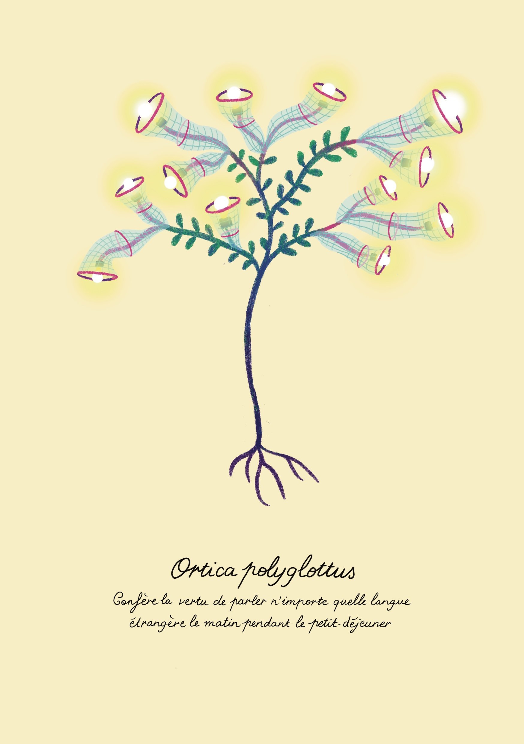 Ortica_polyglottus_.jpg