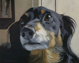 20230915_144511.jpg