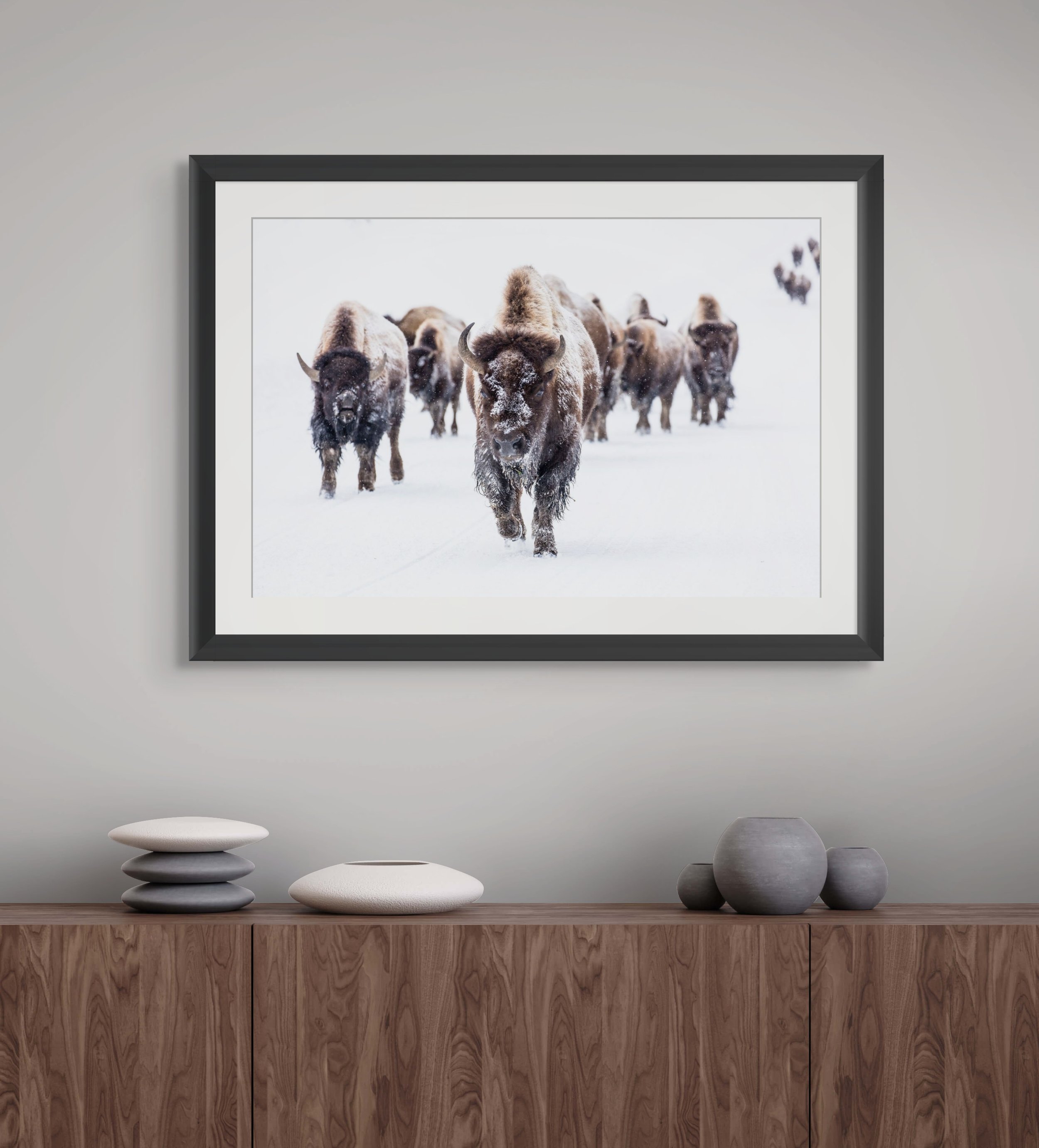 buffulo 30x20 Framed.jpg