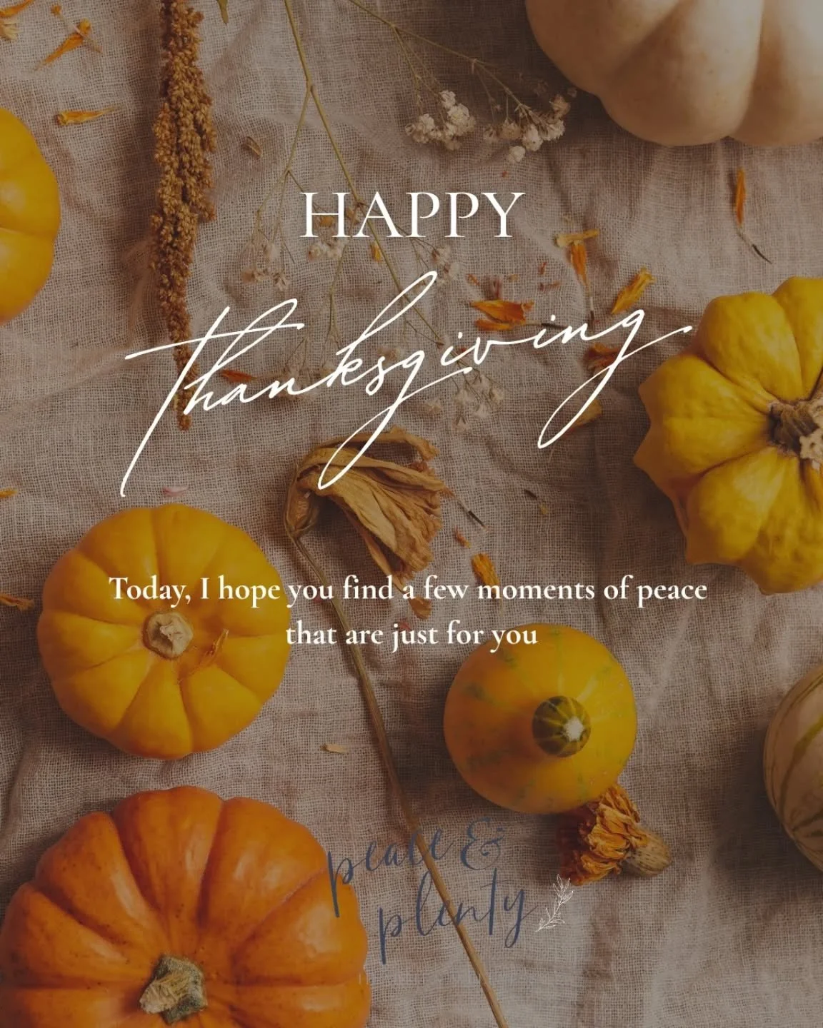 Happy Thanksgiving, friend 🦃💛

Today, I hope you find a few moments of peace that are just for you.

I SEE YOU.

✨ The thought you put into everyone&rsquo;s joy
✨ The heart you give to your family
✨ The magic you make, without credit
✨ The emotiona