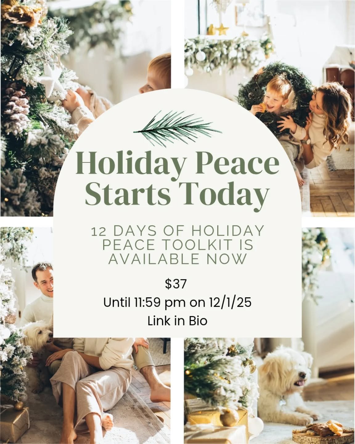 It&rsquo;s here❗️

For every woman who quietly carries the weight of the holidays&hellip;

&hellip;the one who&rsquo;s juggling the lists, the moods, the plans, the gifts, the logistics AND trying to hold herself together in the middle of it all&hell