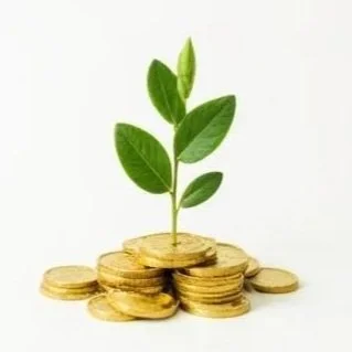 Abundance Workshop (Virtual)