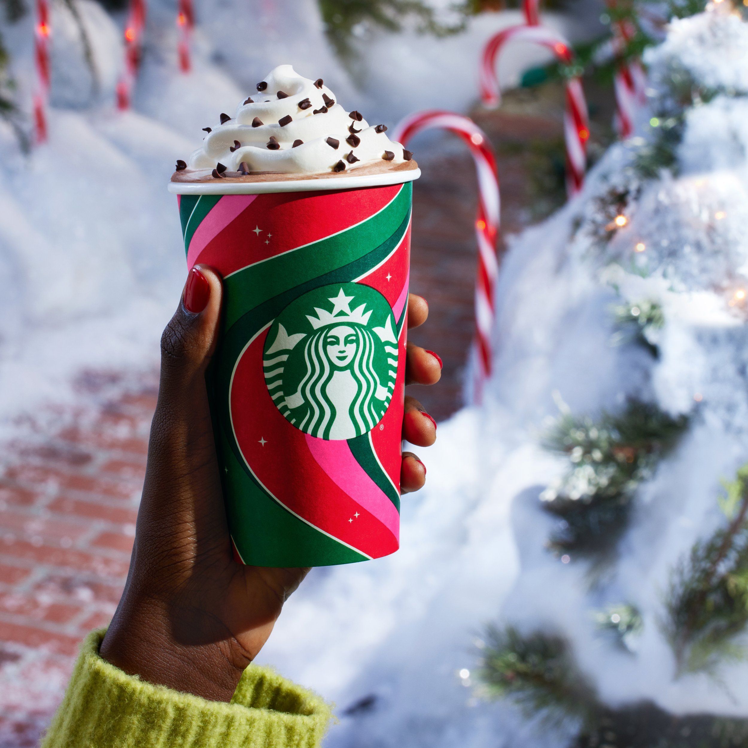 BSS_STB_HOLIDAY_FY24_CandyCaneLane_1x1_FINAL.jpeg