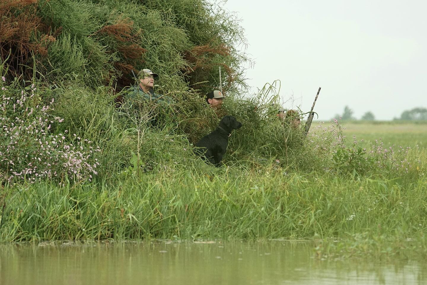 Who is ready for green blinds, and blue and green rockets? Limited space remains for our early real hunts. Don&rsquo;t miss your chance to get on the books! &mdash;&mdash;&mdash;&mdash;&mdash;&mdash;&mdash;&mdash;&mdash;&mdash;&mdash;&mdash;&mdash;&m