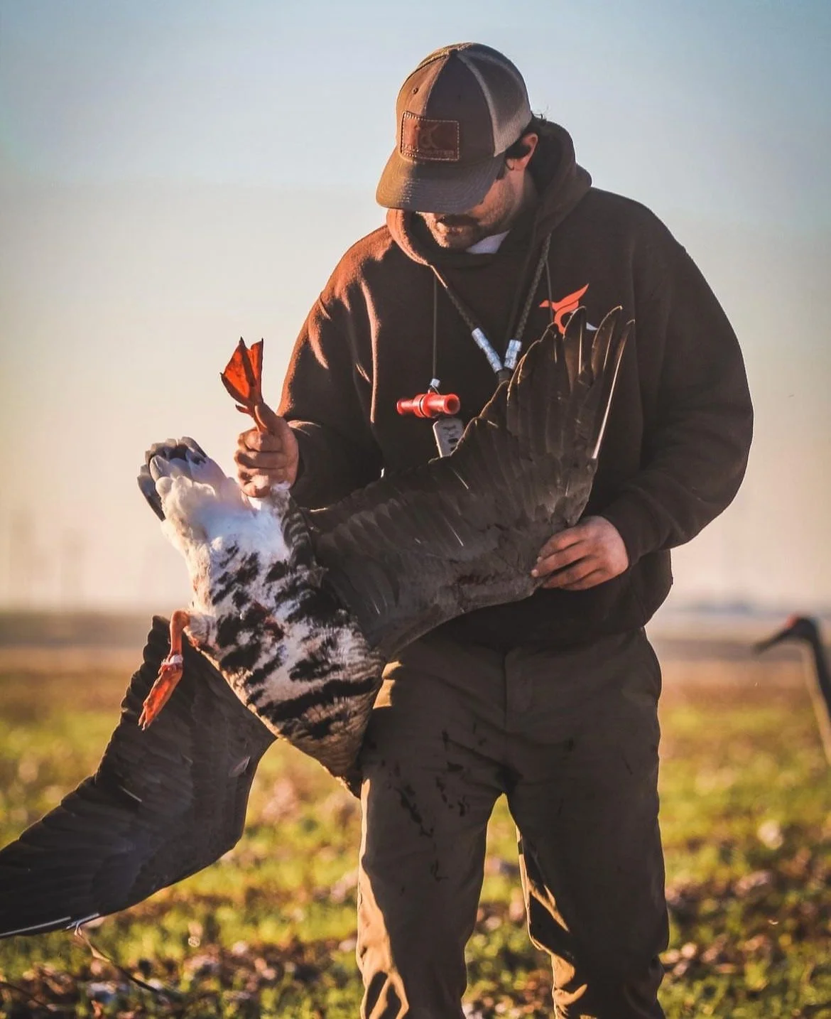 Screenshot 2023-06-08 at 10.47.51 PM.jpeg