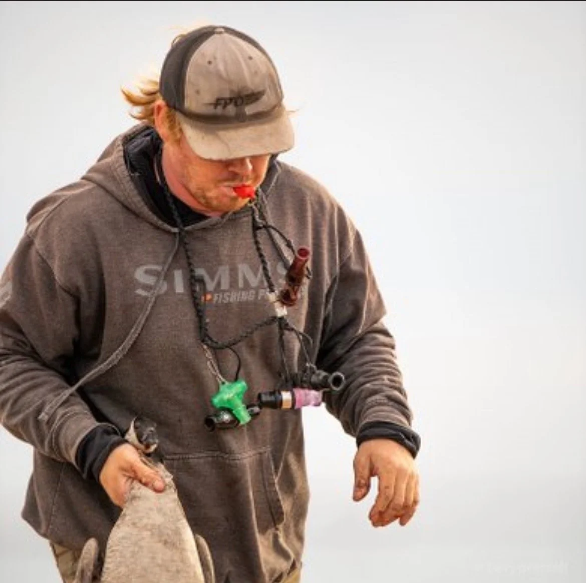 DSC_7883.jpg - OneDrive.jpeg