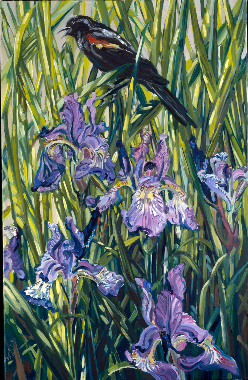 Blackbird and Wild Irises, 1991, 28 x 18 inches