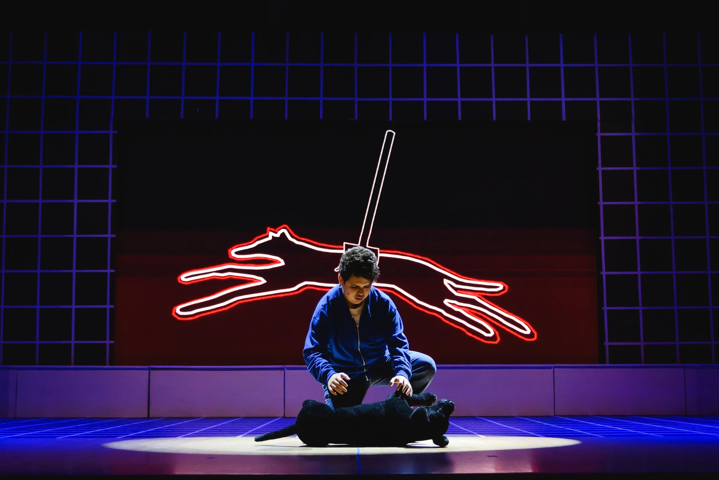 CuriousIncident_UniversityHighSchool_Production_PhotoAshleighAnnGardner-45 (1)-min.jpg