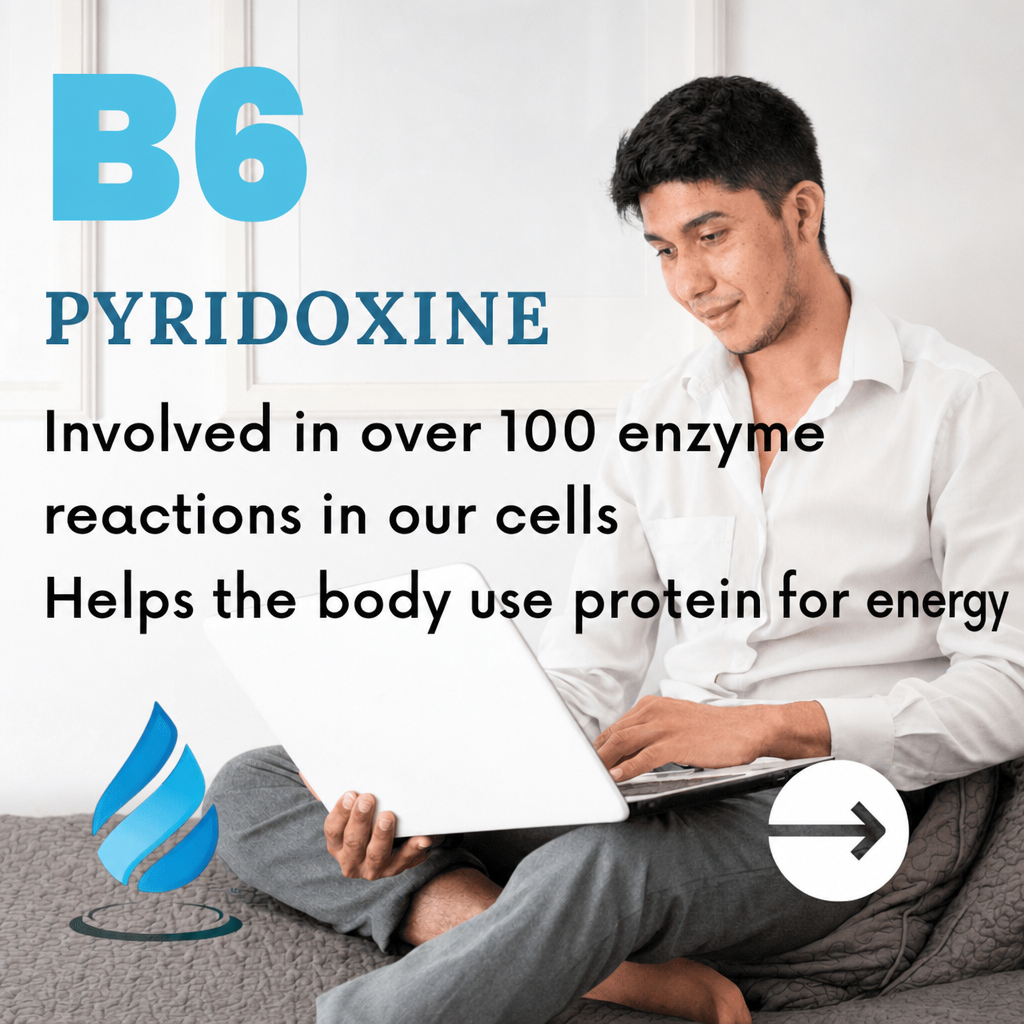 B6 pyridoxine: involved in over 100 enzyme reactions, helps the body use protein for energy