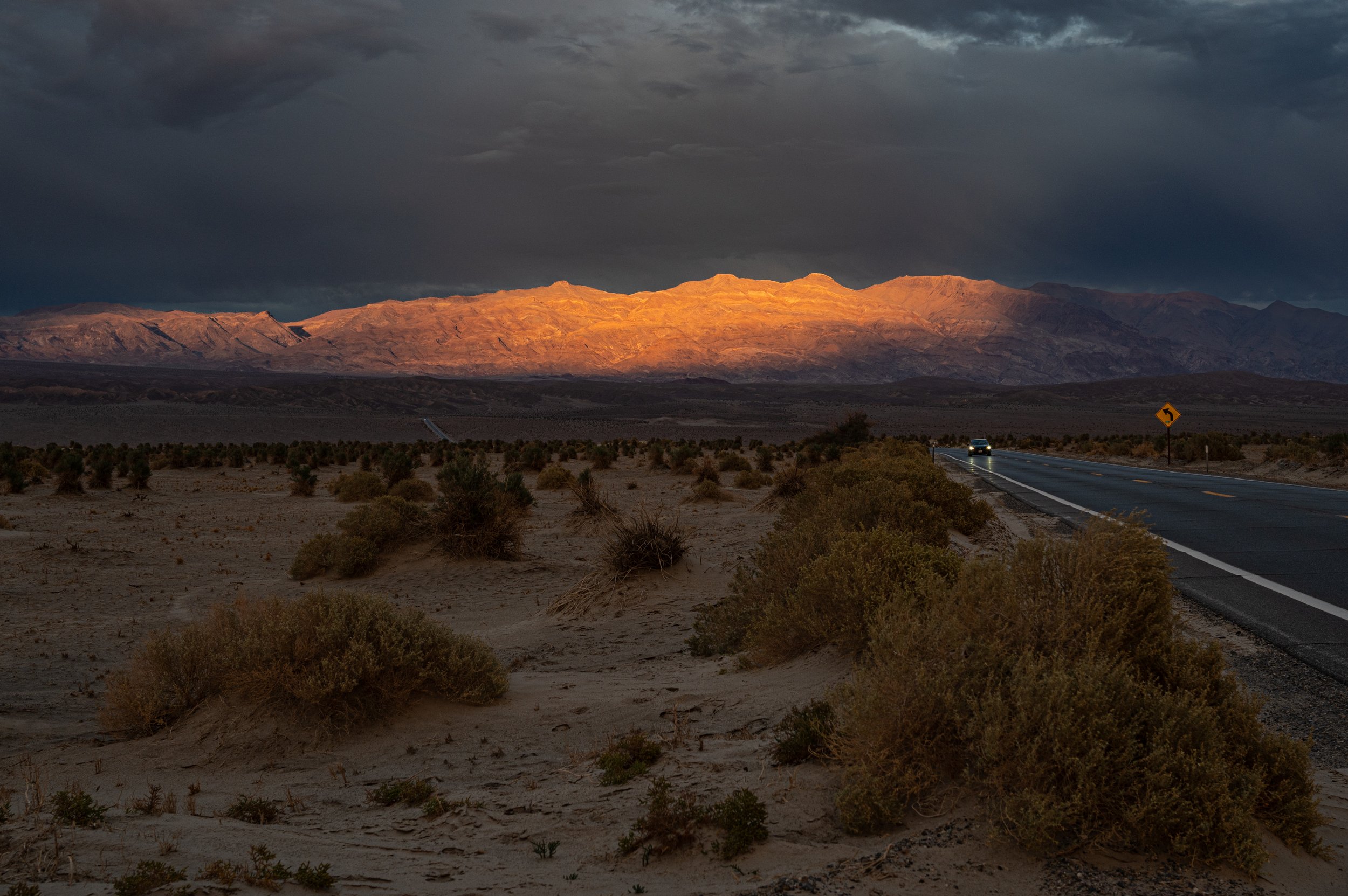Devil's Cornfield, Death Valley National Park, California, 2024