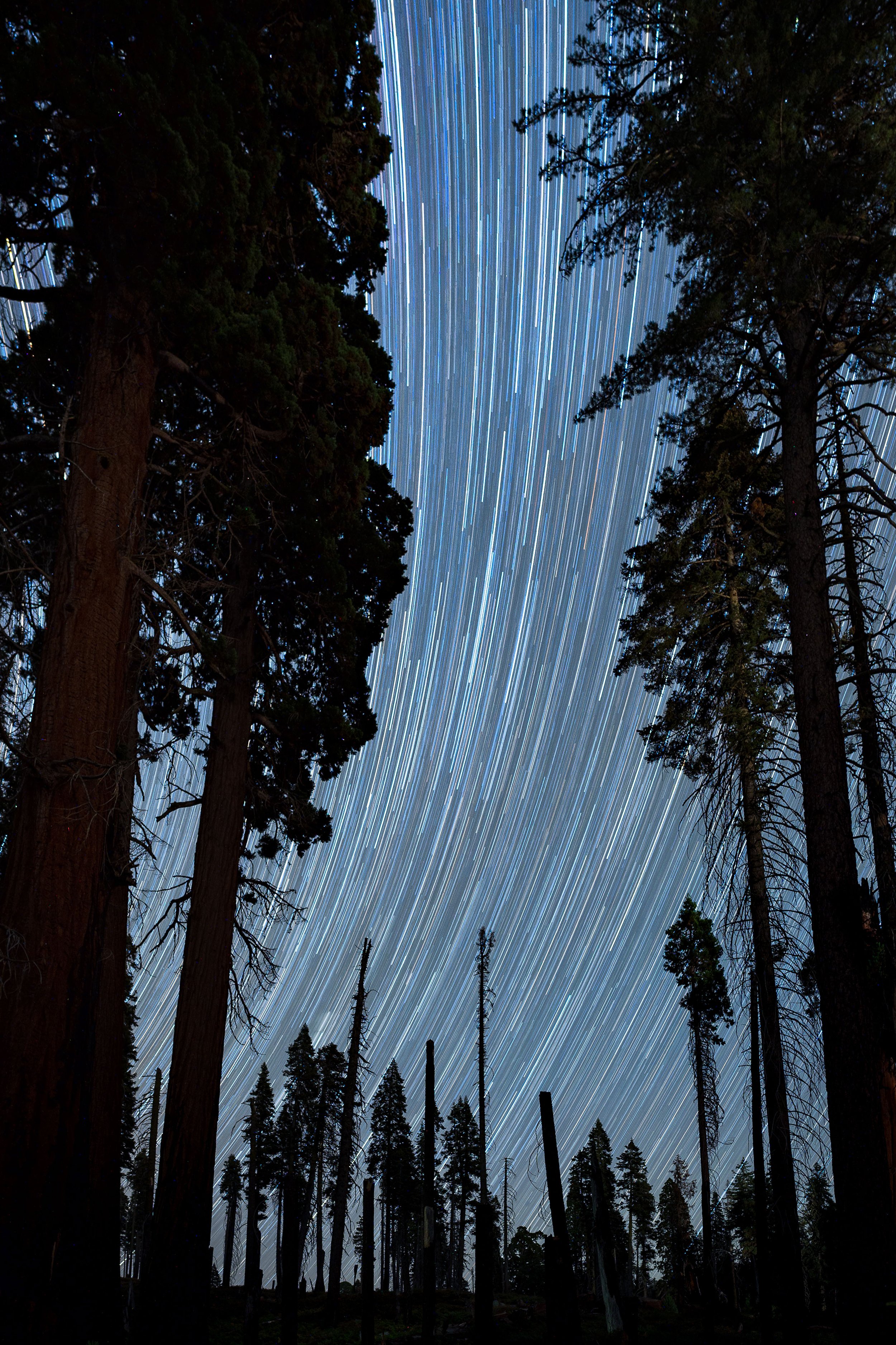 Sequoia National Park, California, 2021