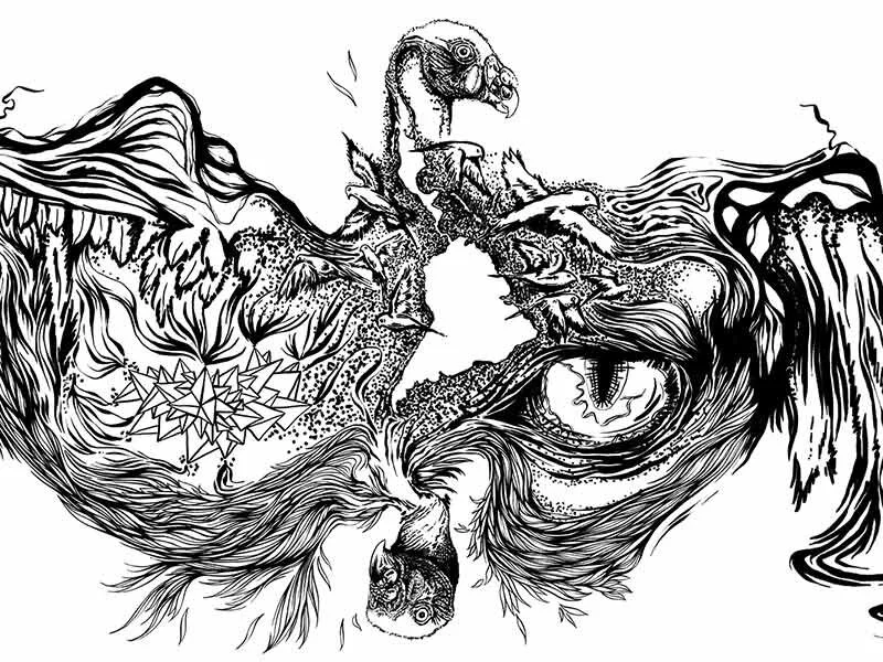 ok - AMERICA LATINA {DA + ILLUSTRATION}