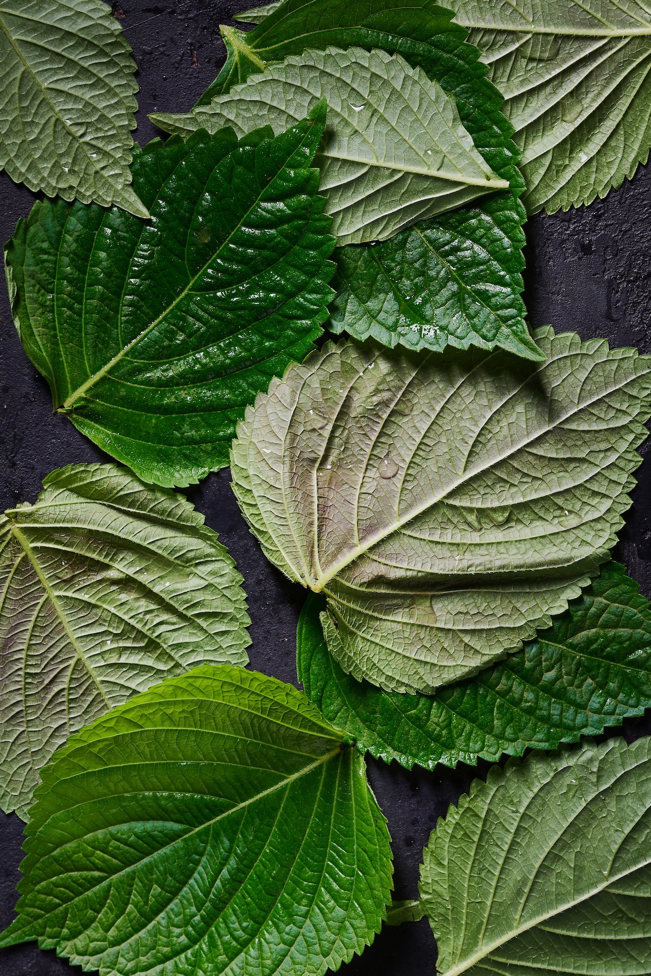 joanie simon phoenix food photographer 4.jpg