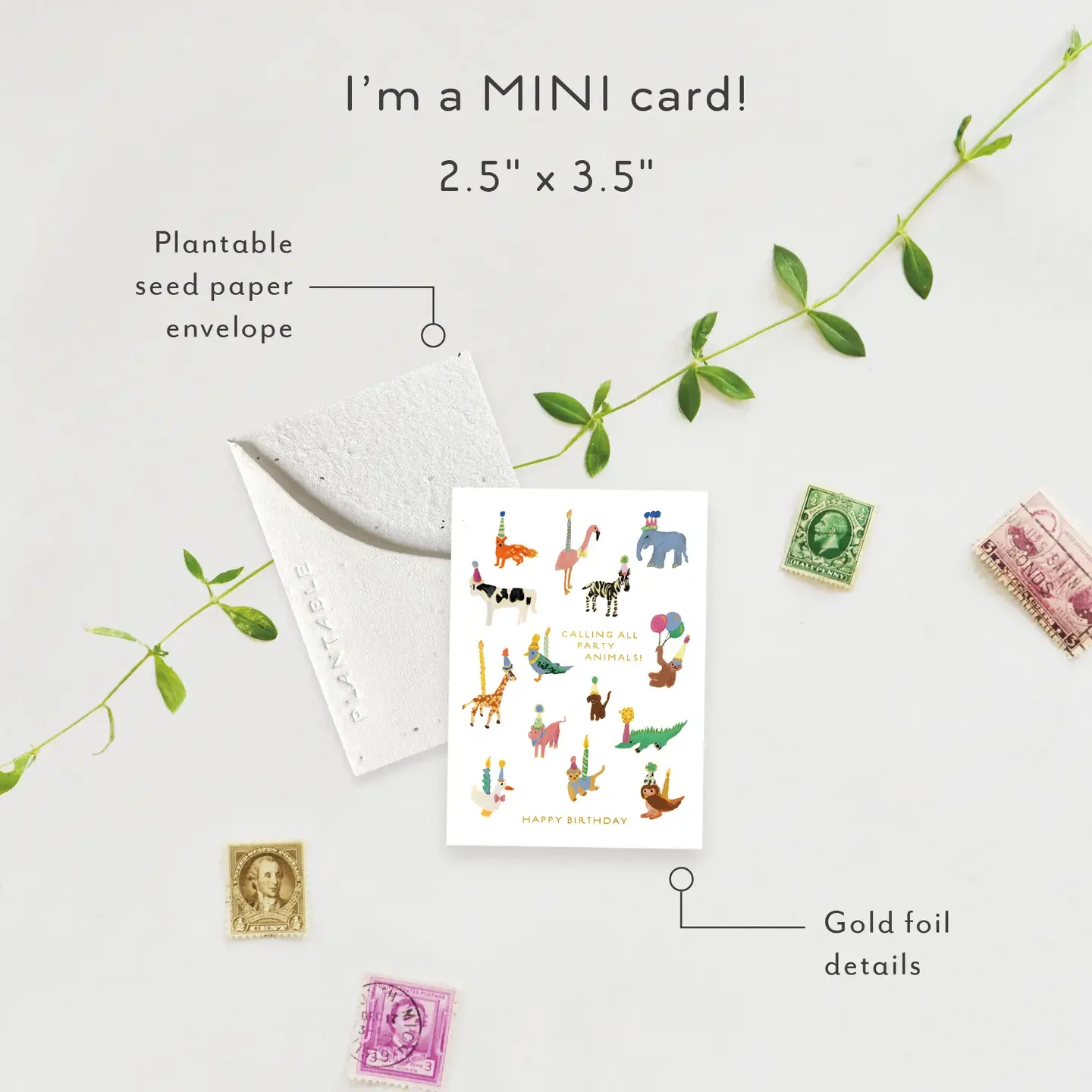 Animal Party Mini Sprout Card3.webp