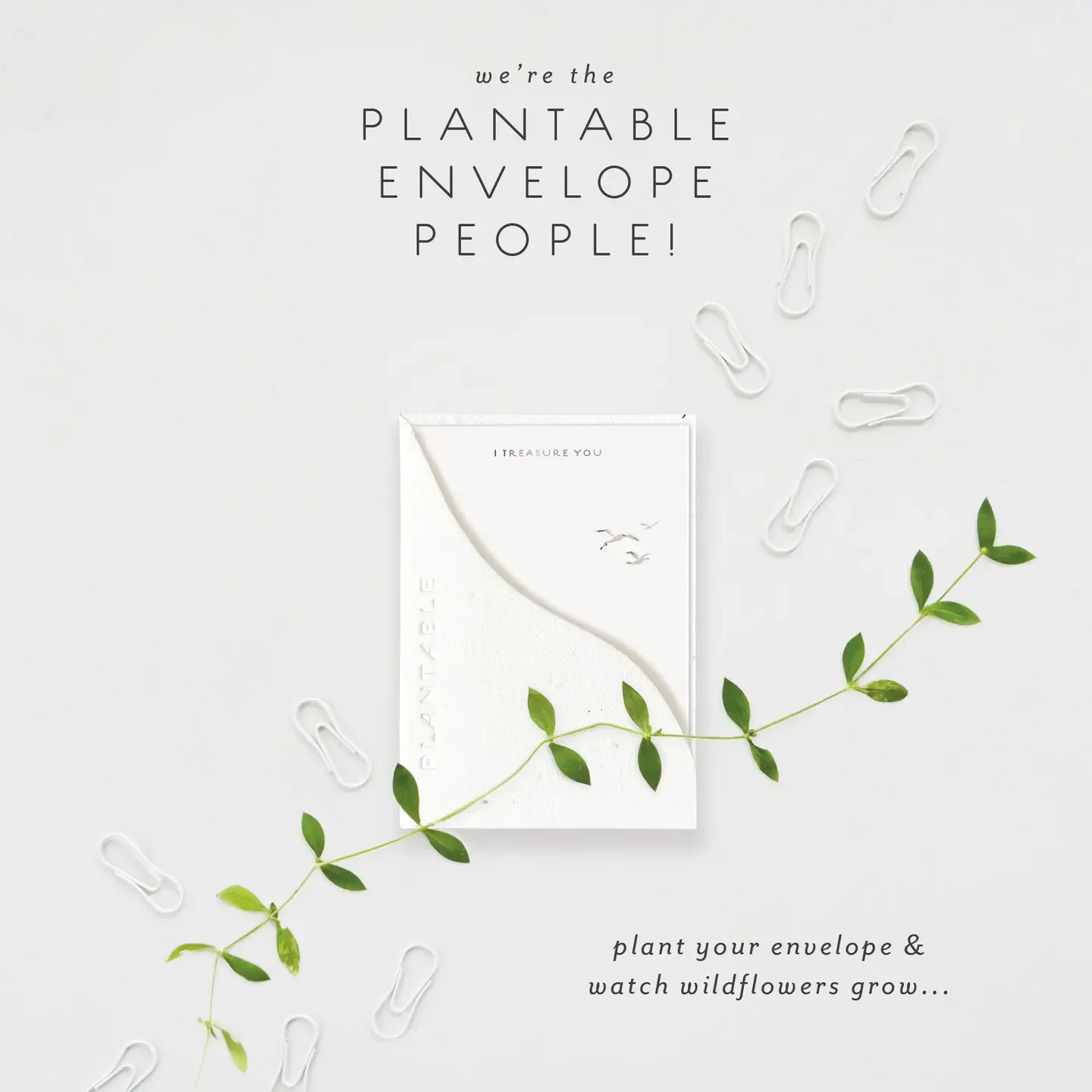 Treasures Sprout - Friendship Mini Greeting Card2.webp