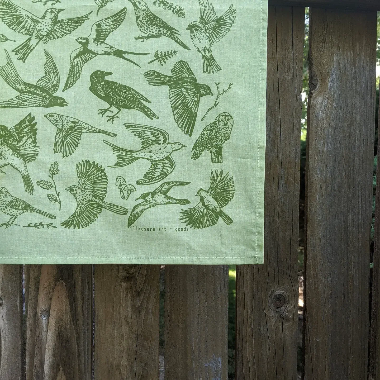 Bandana- Birds Green Screen2.webp