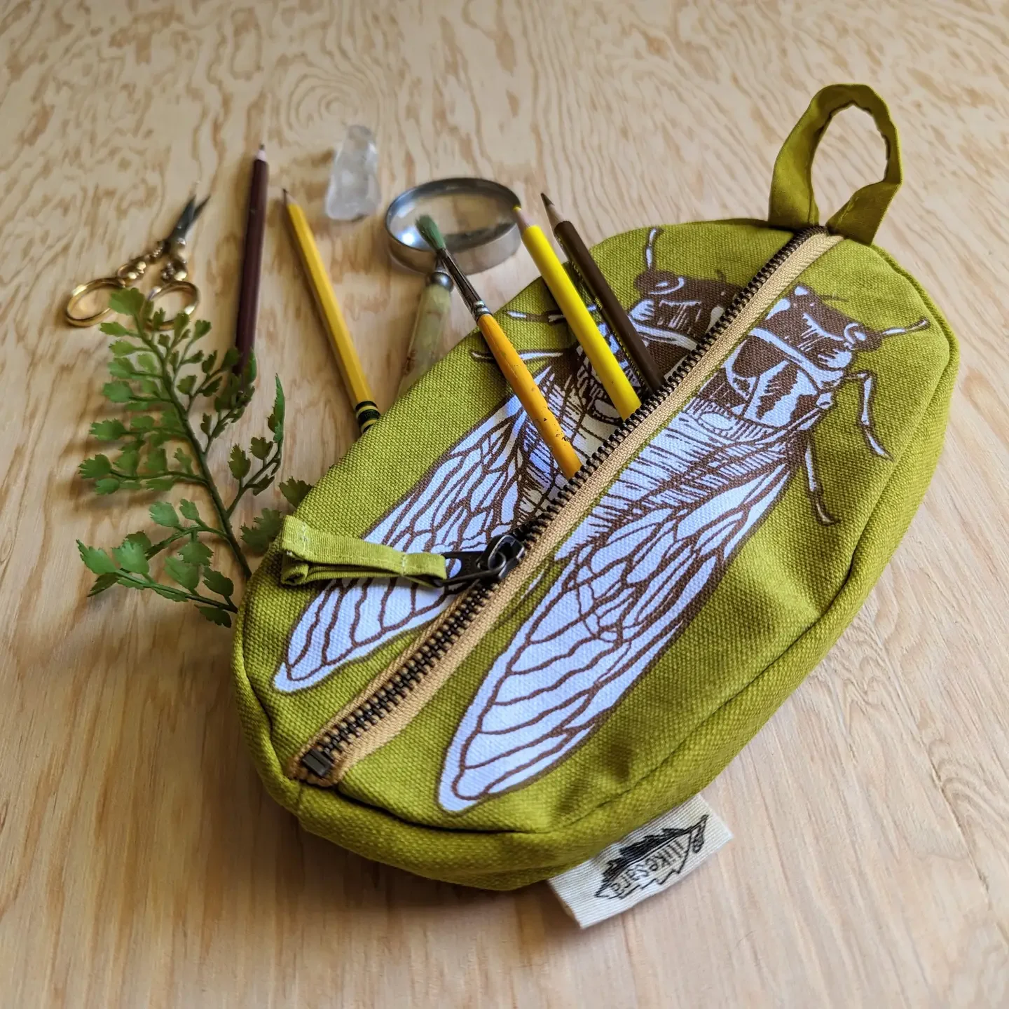 Zippered pouch | cicada3.webp