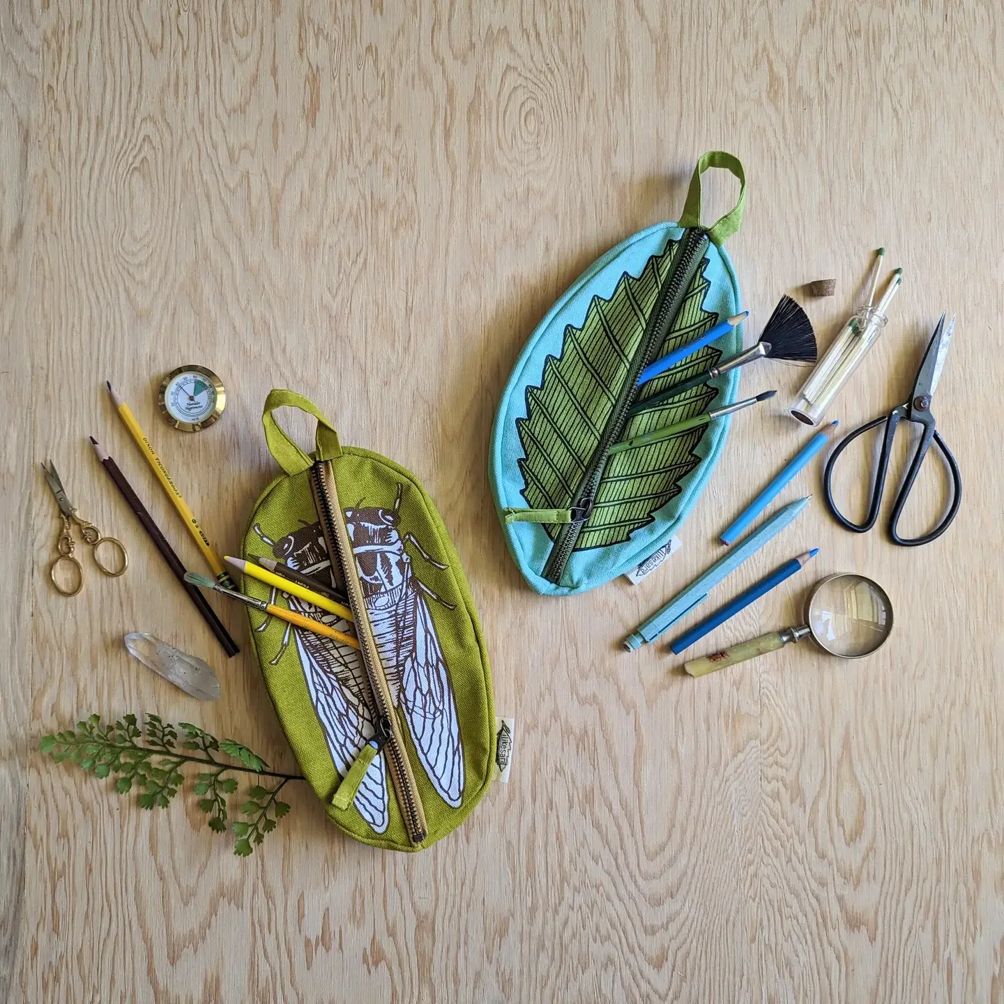 Zippered pouch | cicada2.webp