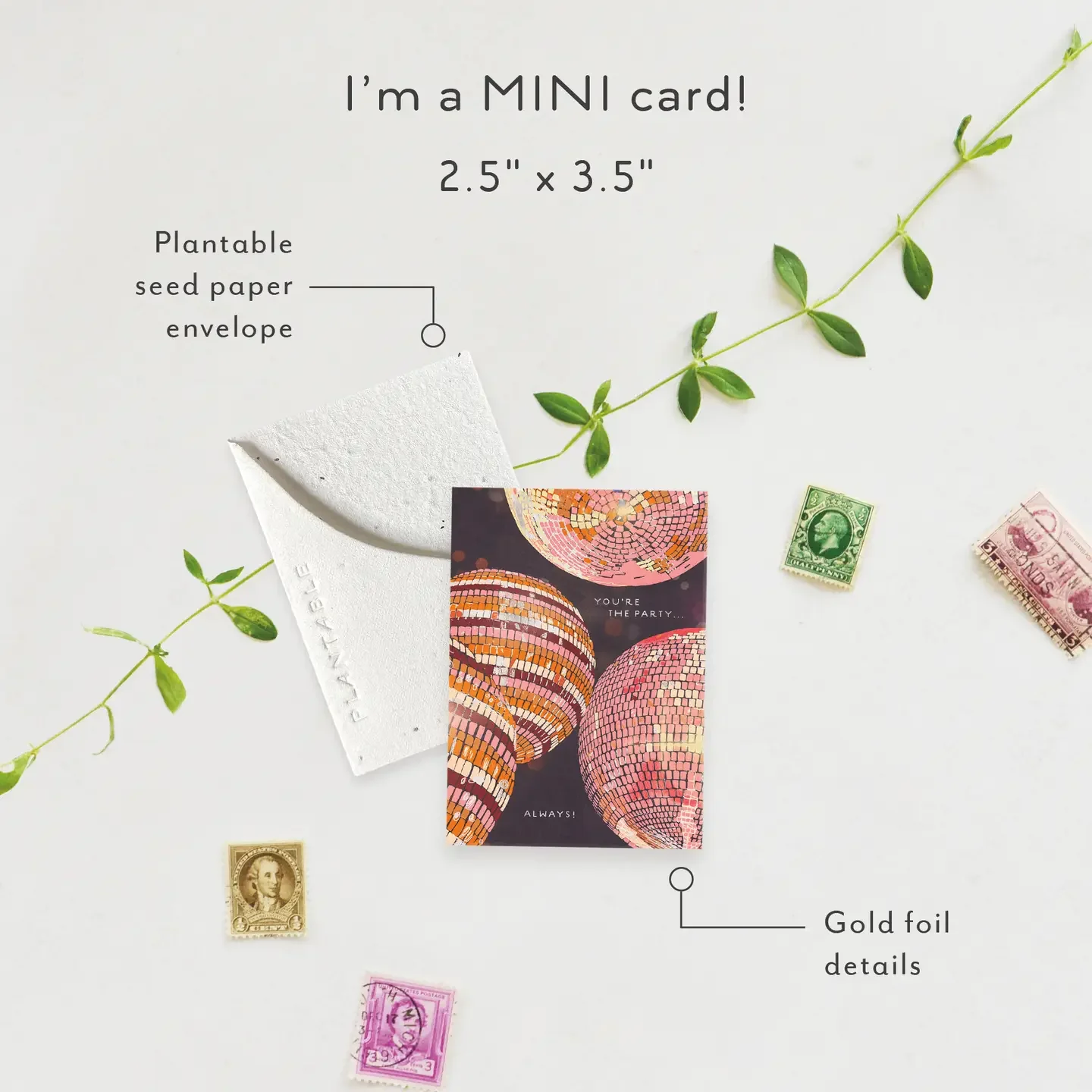 Disco Sprout Mini3.webp