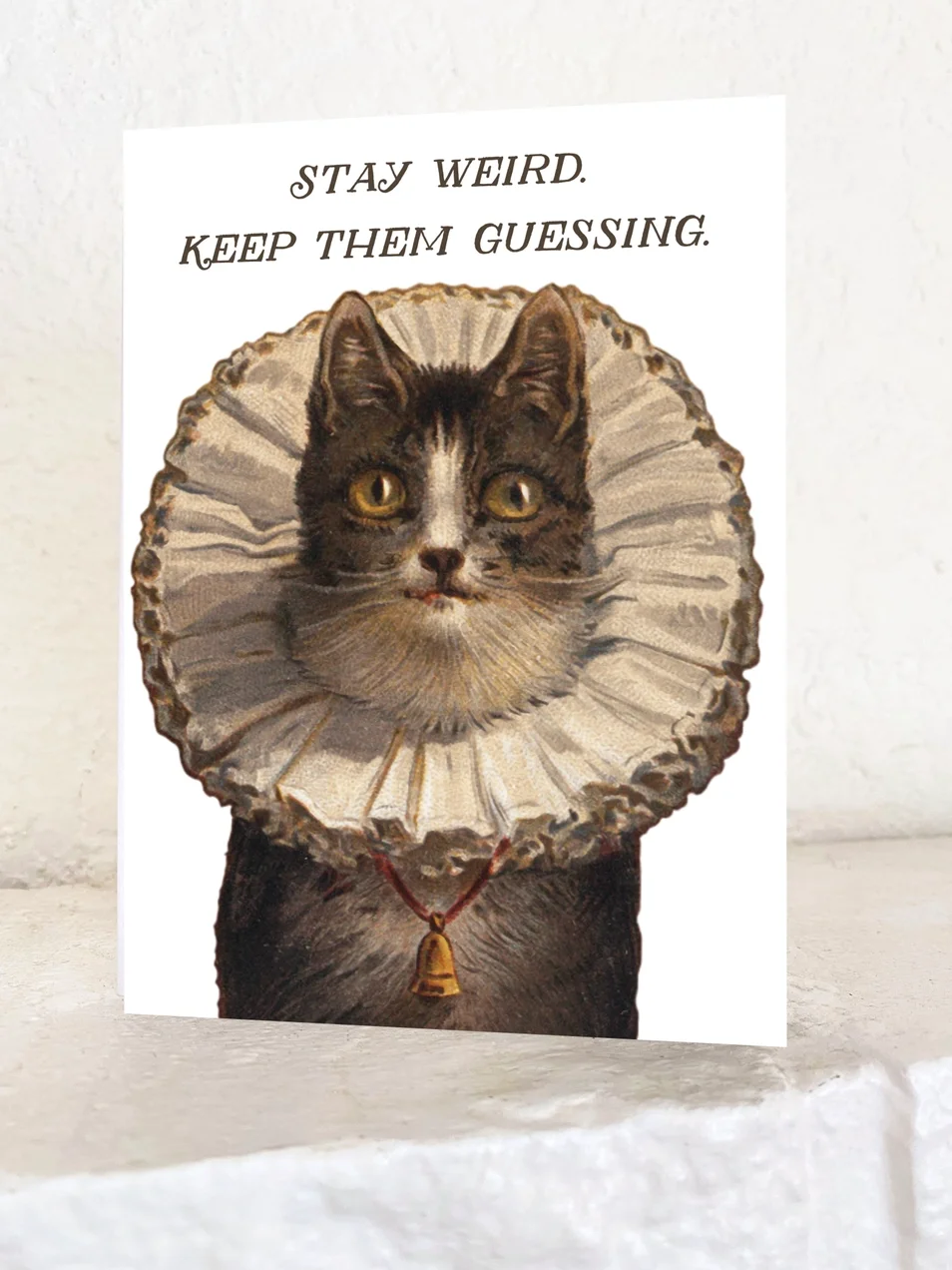 Stay Weird Funny Kitty Card - Birthday Friendship Everyday2.webp